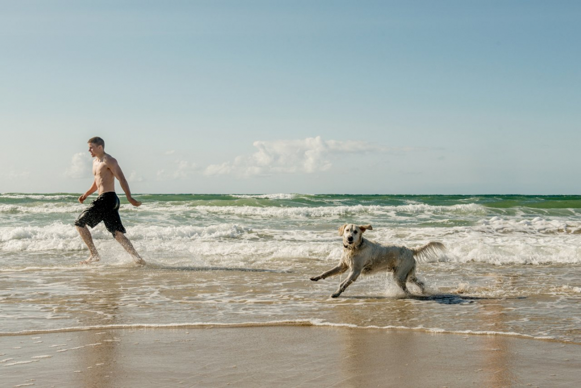 Met de hond op het strand in Denemarken. Foto: Mette Johnsen / VisitDenmark