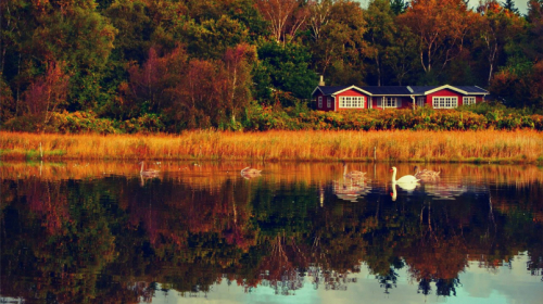 10 herfstvakantie tips voor jouw vakantie in Denemarken