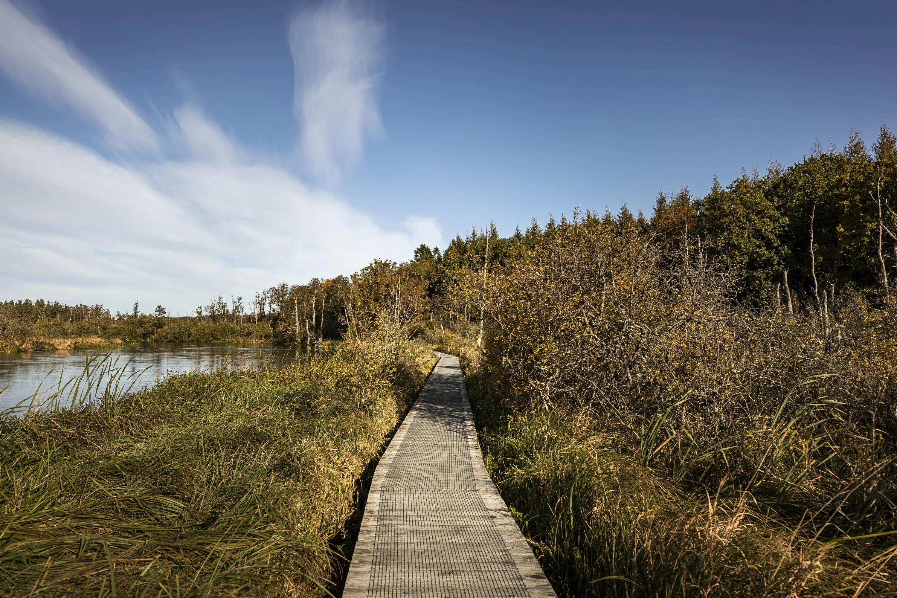 Wandelpad langs de Gudenå