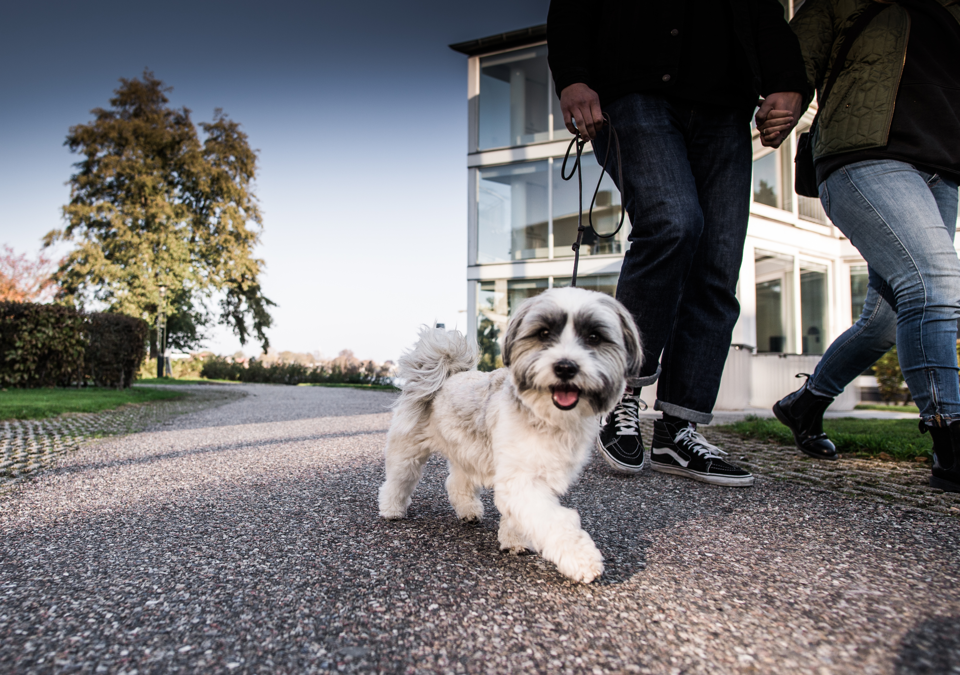 Je hond mag ook mee