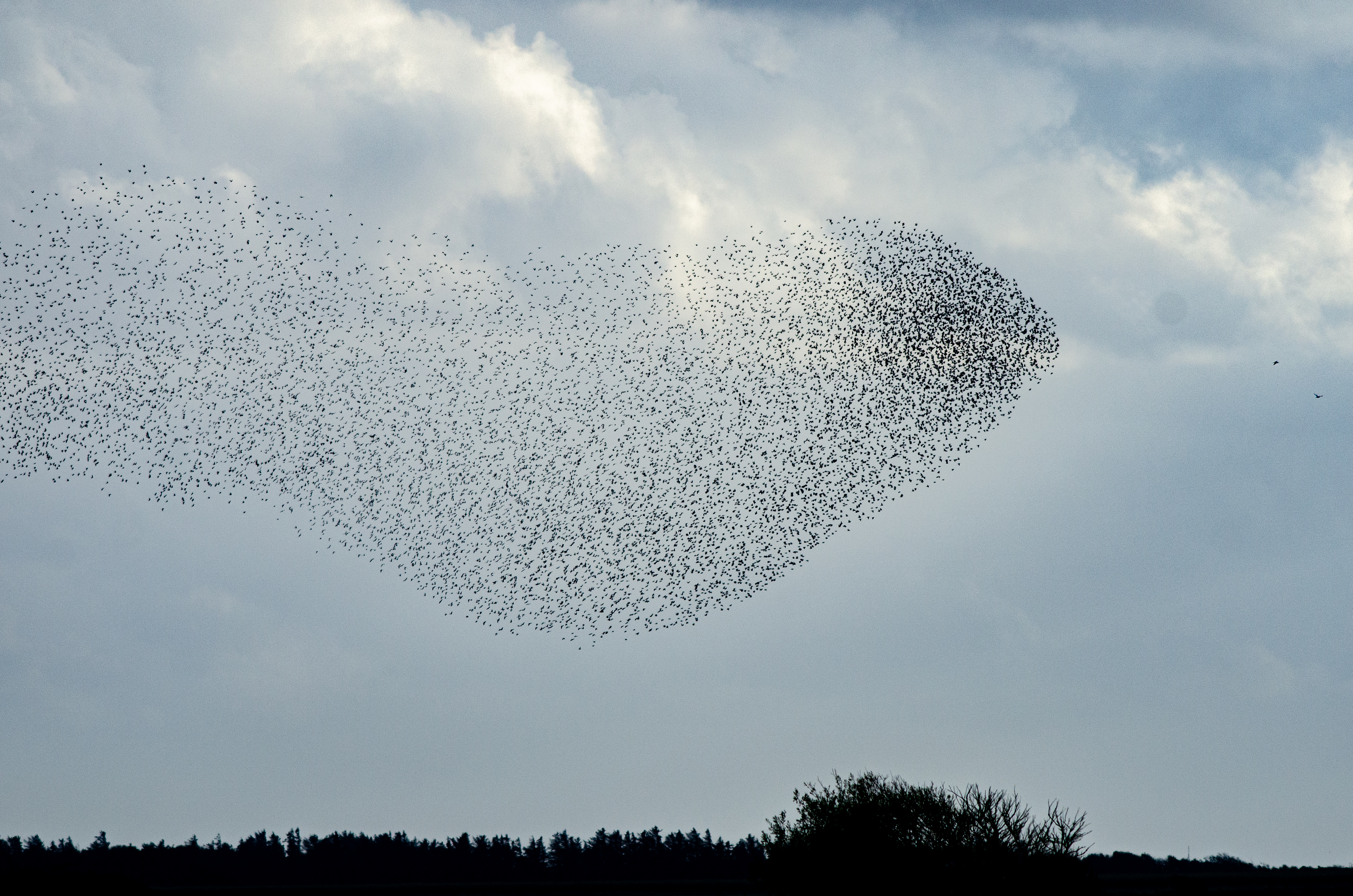 Sort Sol (Zwarte zon) vlakbij Ribe