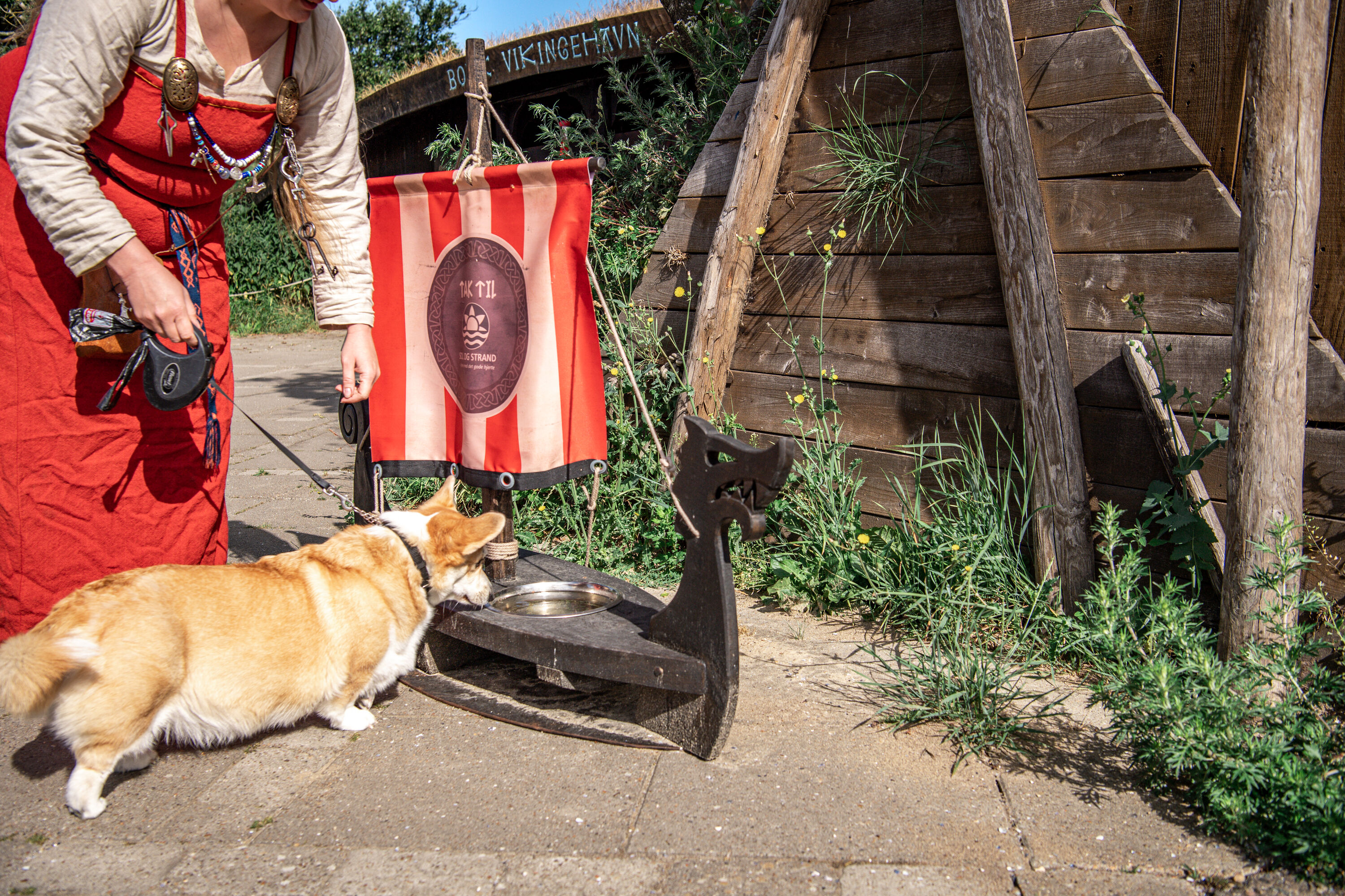 Een vikingen-hondenbakje in Bork Vikingenhavn