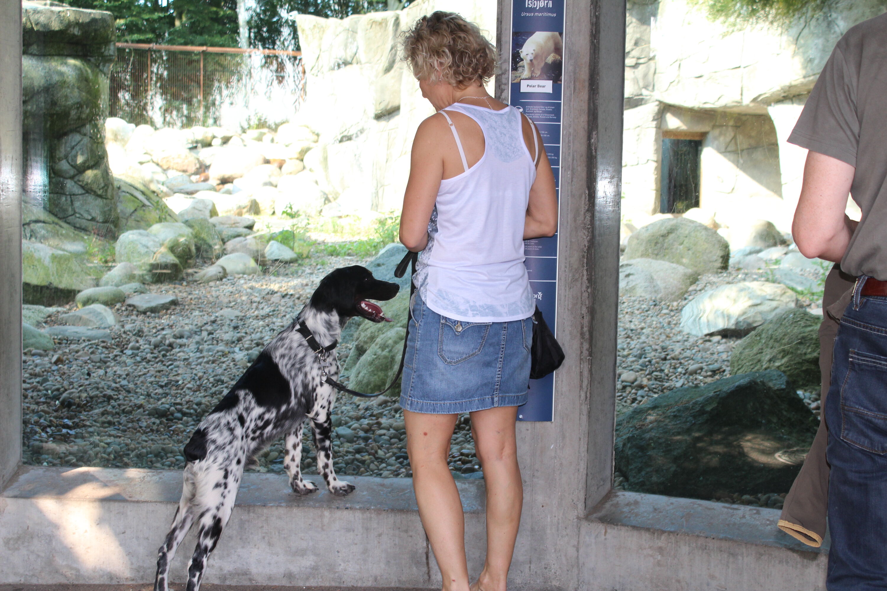 De hond kan ook de ijsberen bekijken in Aalborg