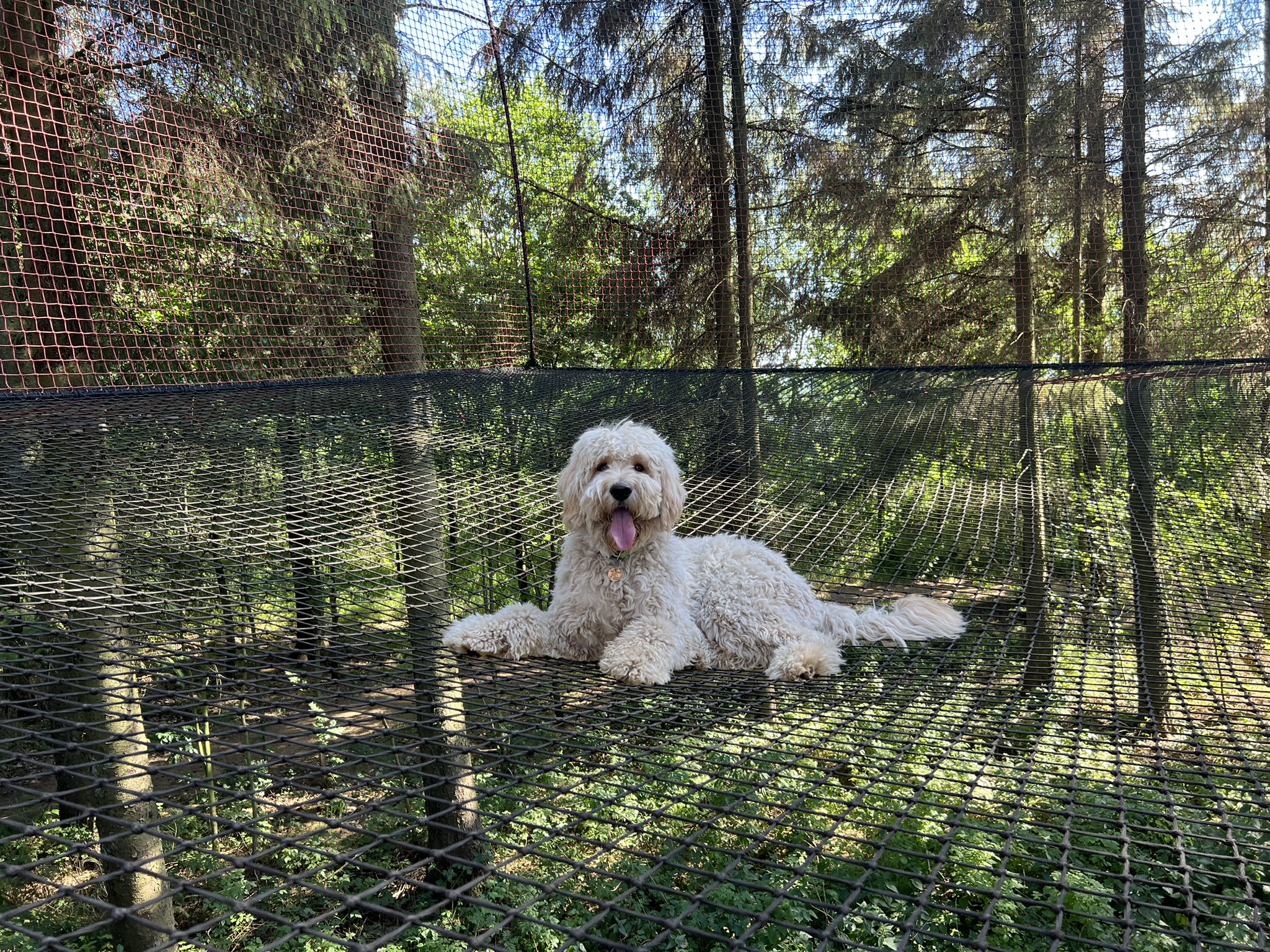 De hond mag gewoon mee naar binnen bij WOW Park