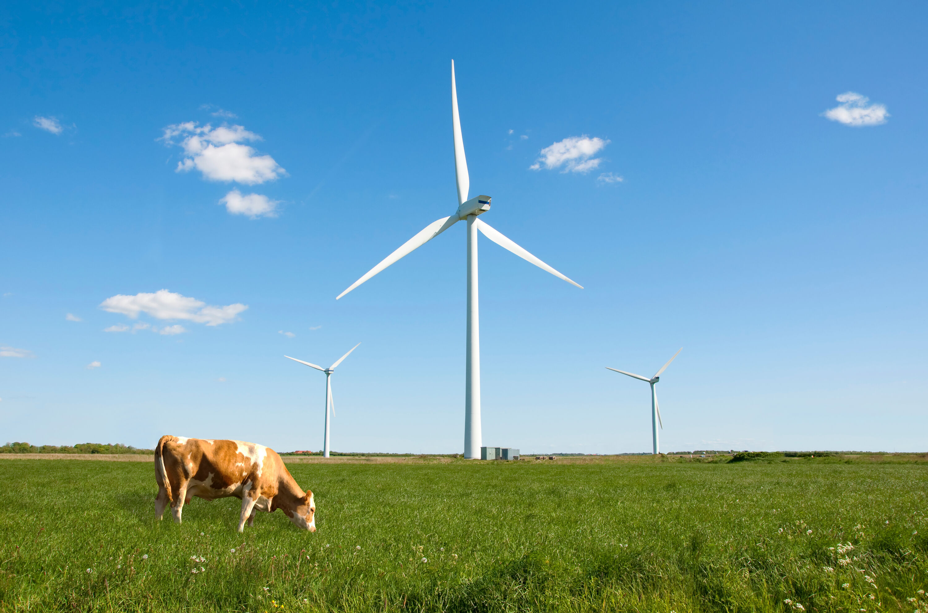 Windmolens zie je overal in het Deense landschap