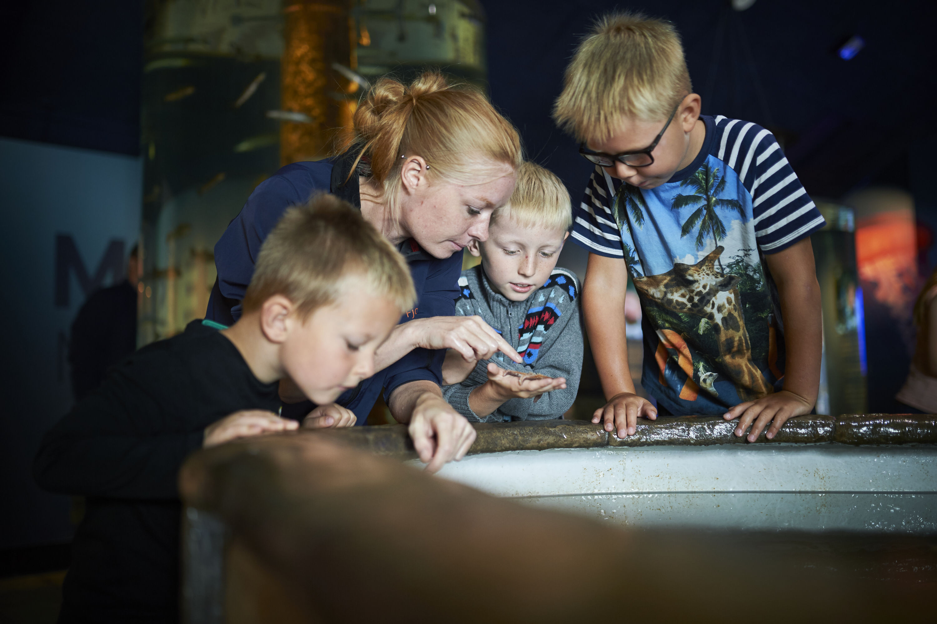 Bekijk de dieren van heel dichtbij