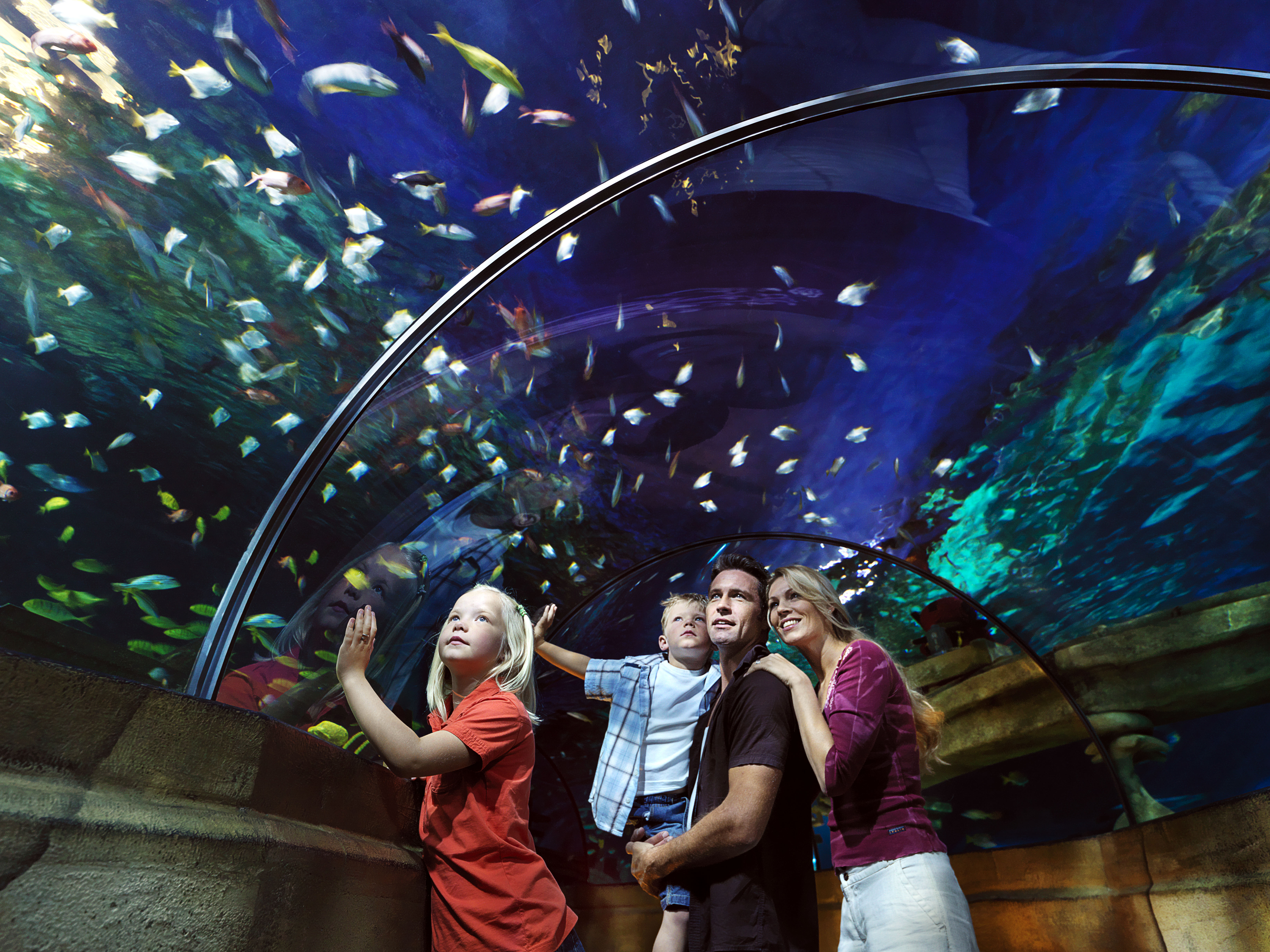 Atlantis ©LEGOLAND Billund