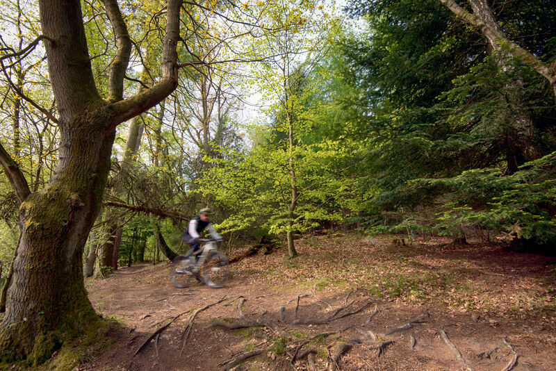 Crossen door de bossen van Denemarken