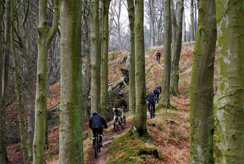 Crossen tussen de bomen door met het hele gezin
