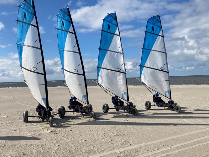 Een aantal strandsurfers op een rijtje