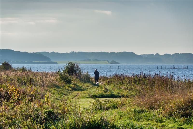 De prachtige natuur rond Rendbjerg 