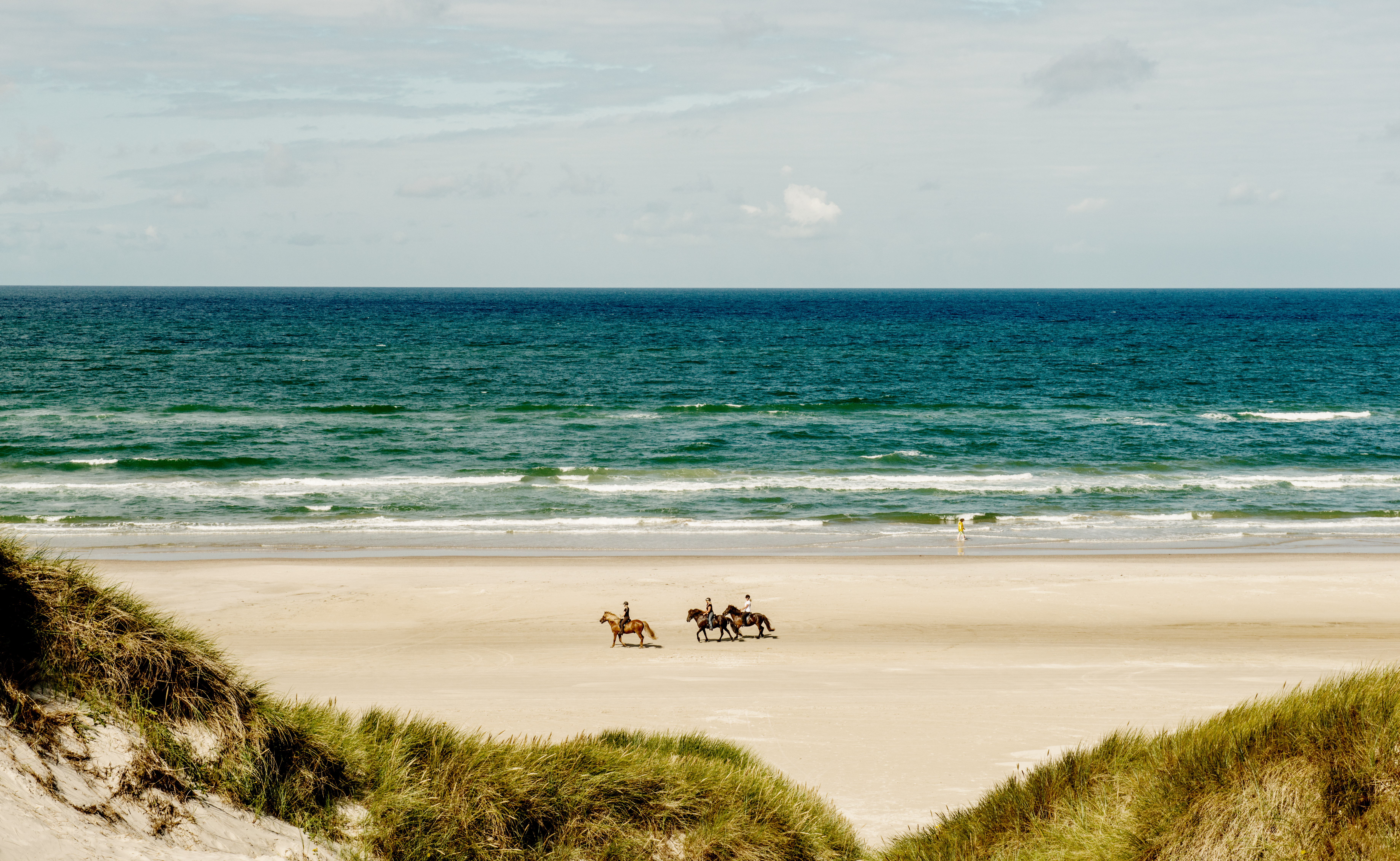 Paardrijden op het strand bij de Jammerbugt © Mette Johnsen