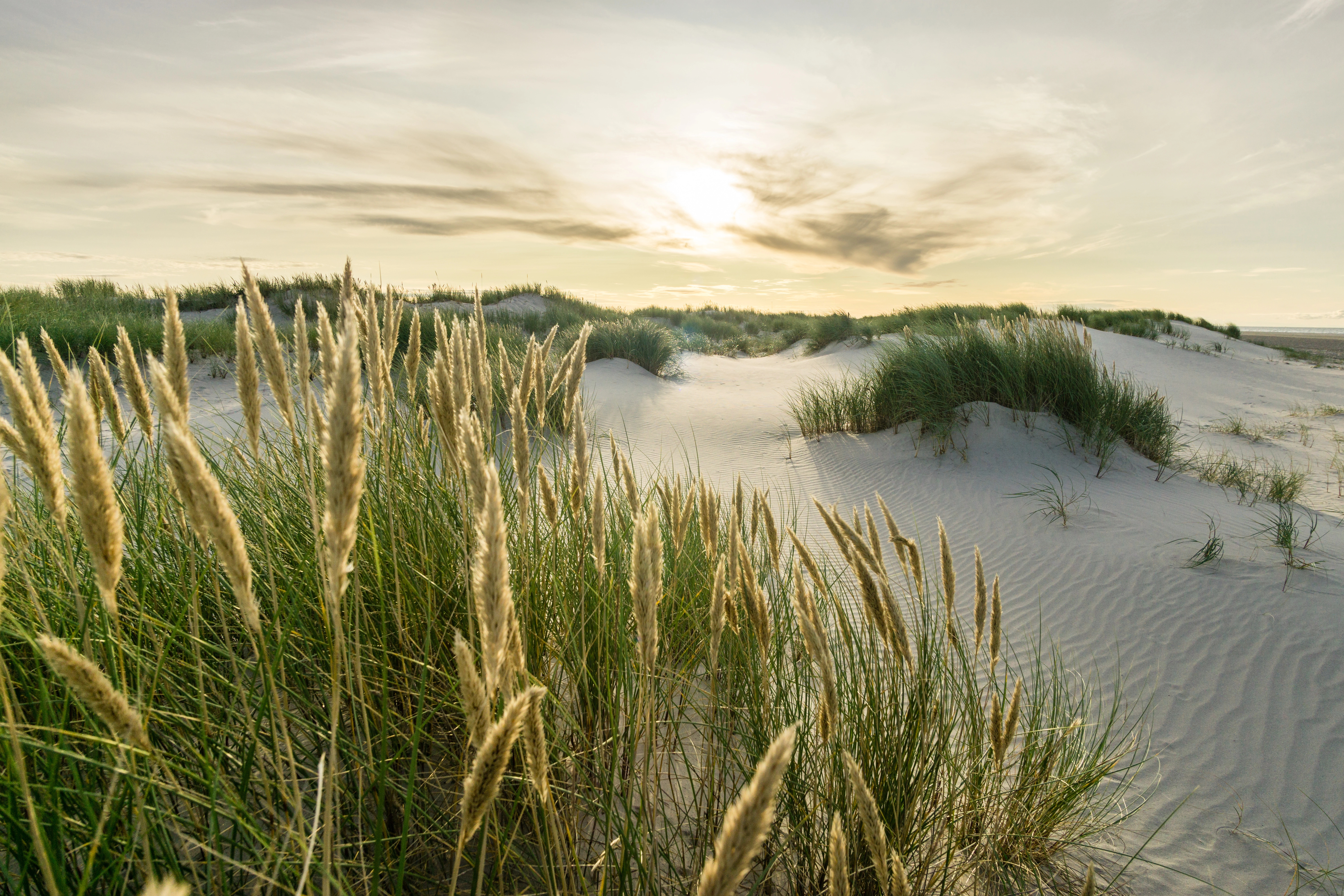De duinen bij Fjellerup Strand