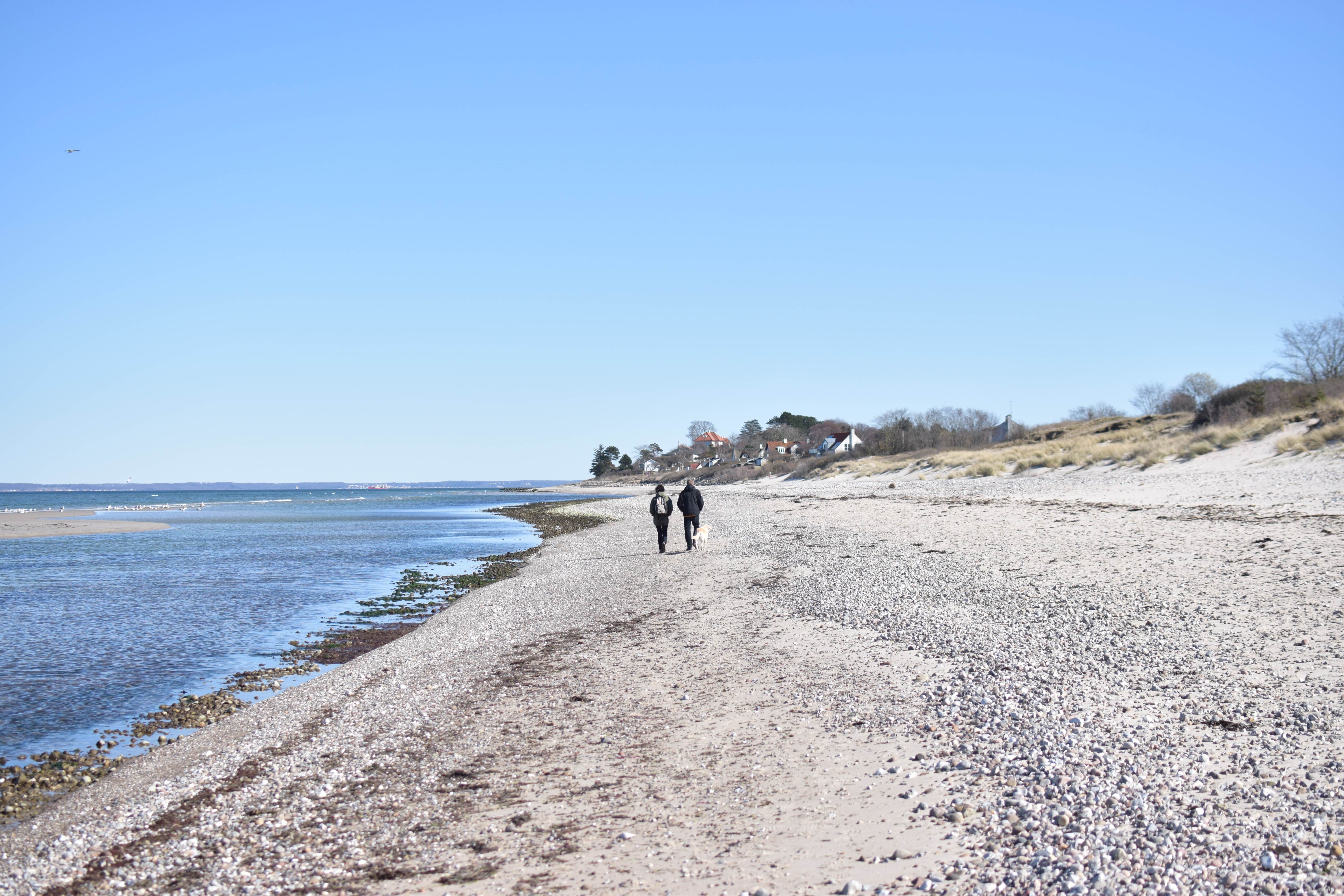 Het strand en het stadje Dronningmølle ©Tine Uffelmann_VisitNordsjælland