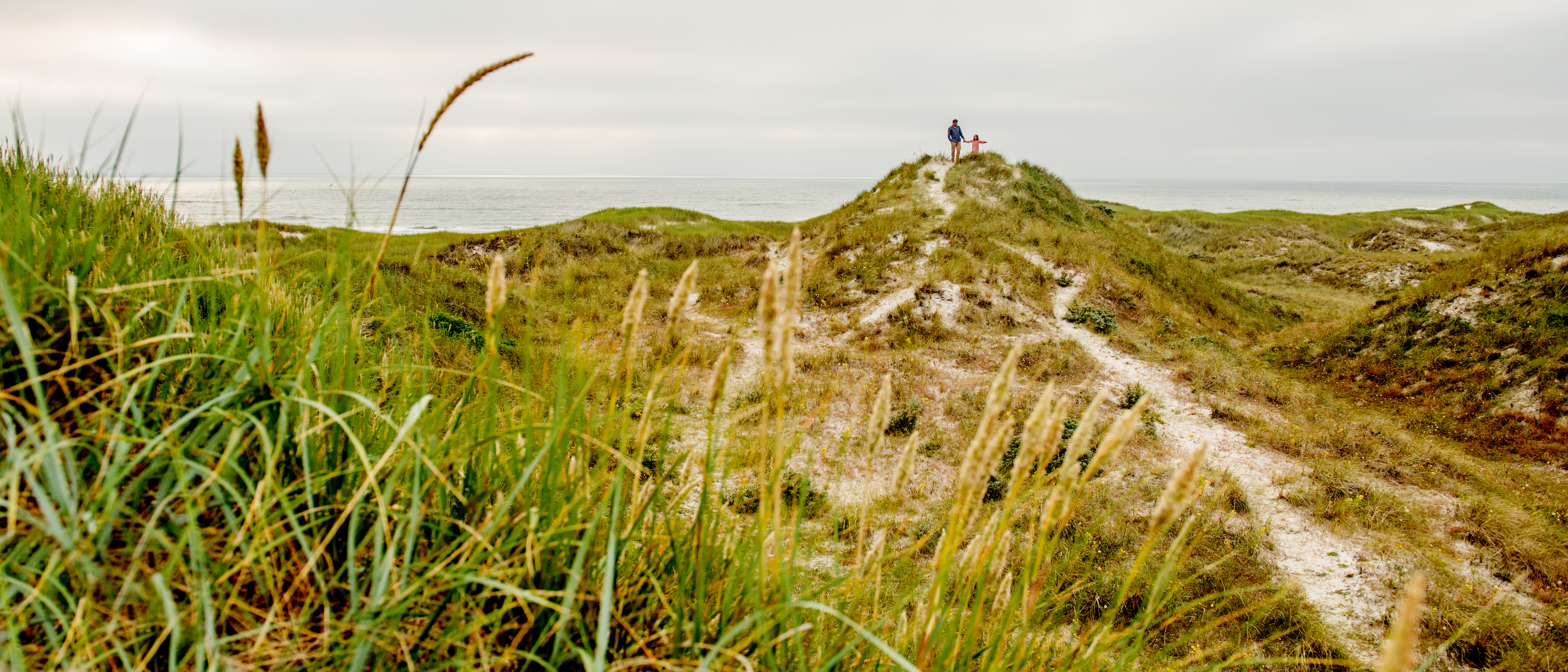 De Noordzee en de duinen bij Houstrup &#xA9; Mette Johnsen