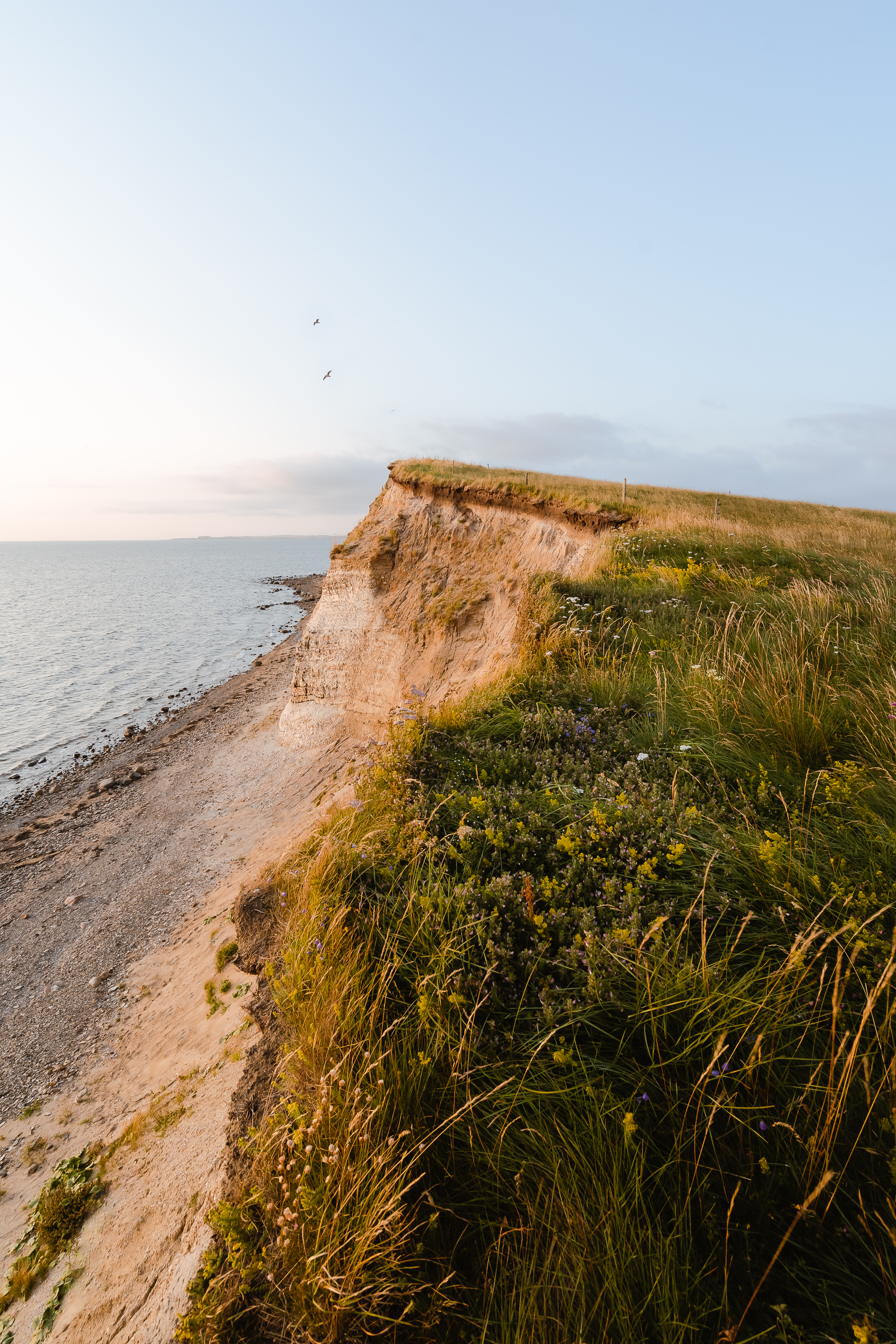 De kust bij Toftum Bjerge aan de Limfjord ©Jakob Vingtoft