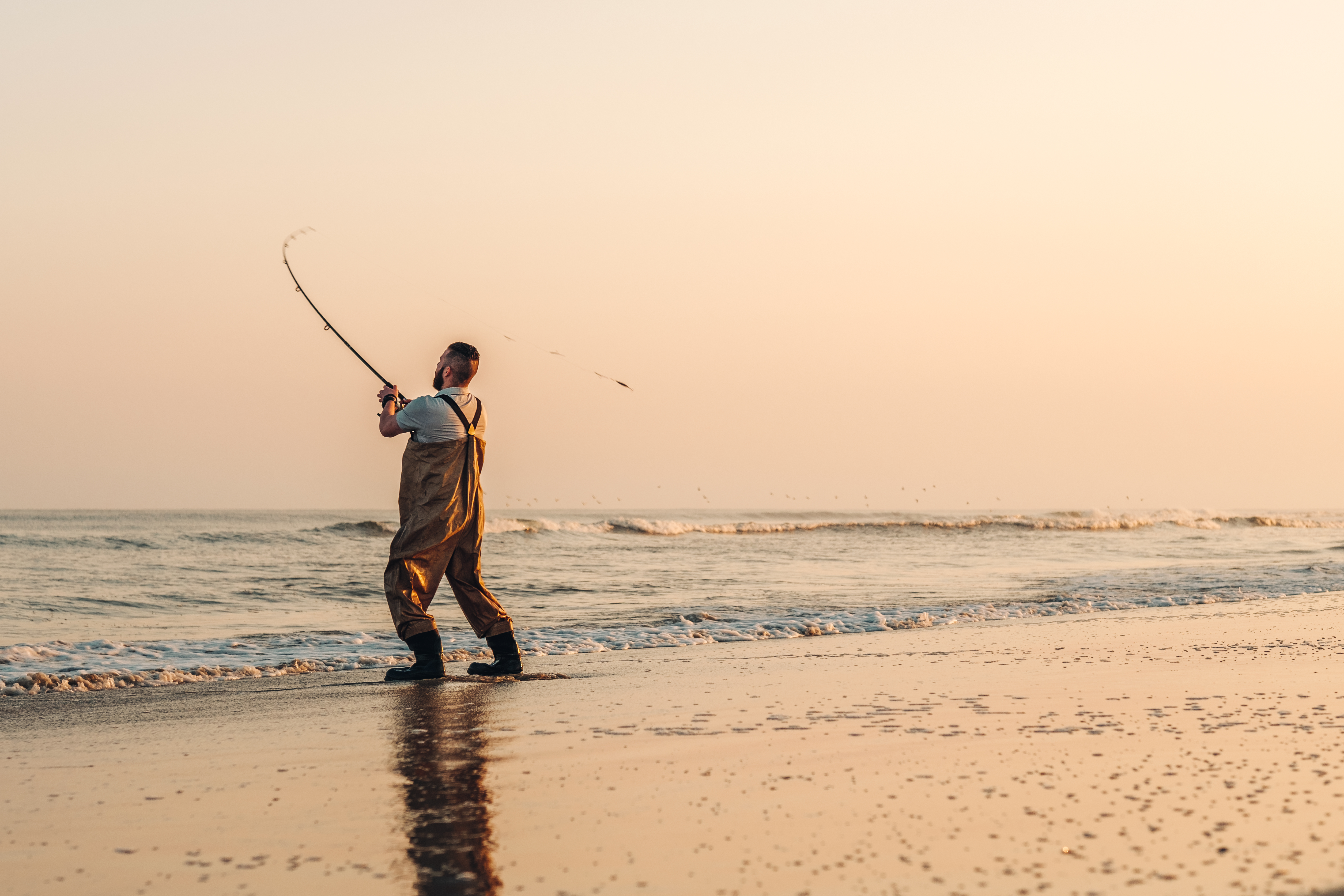 Vissen op het strand bij Jegum &#xA9;Thomas H&#xF8;yrup Christensen