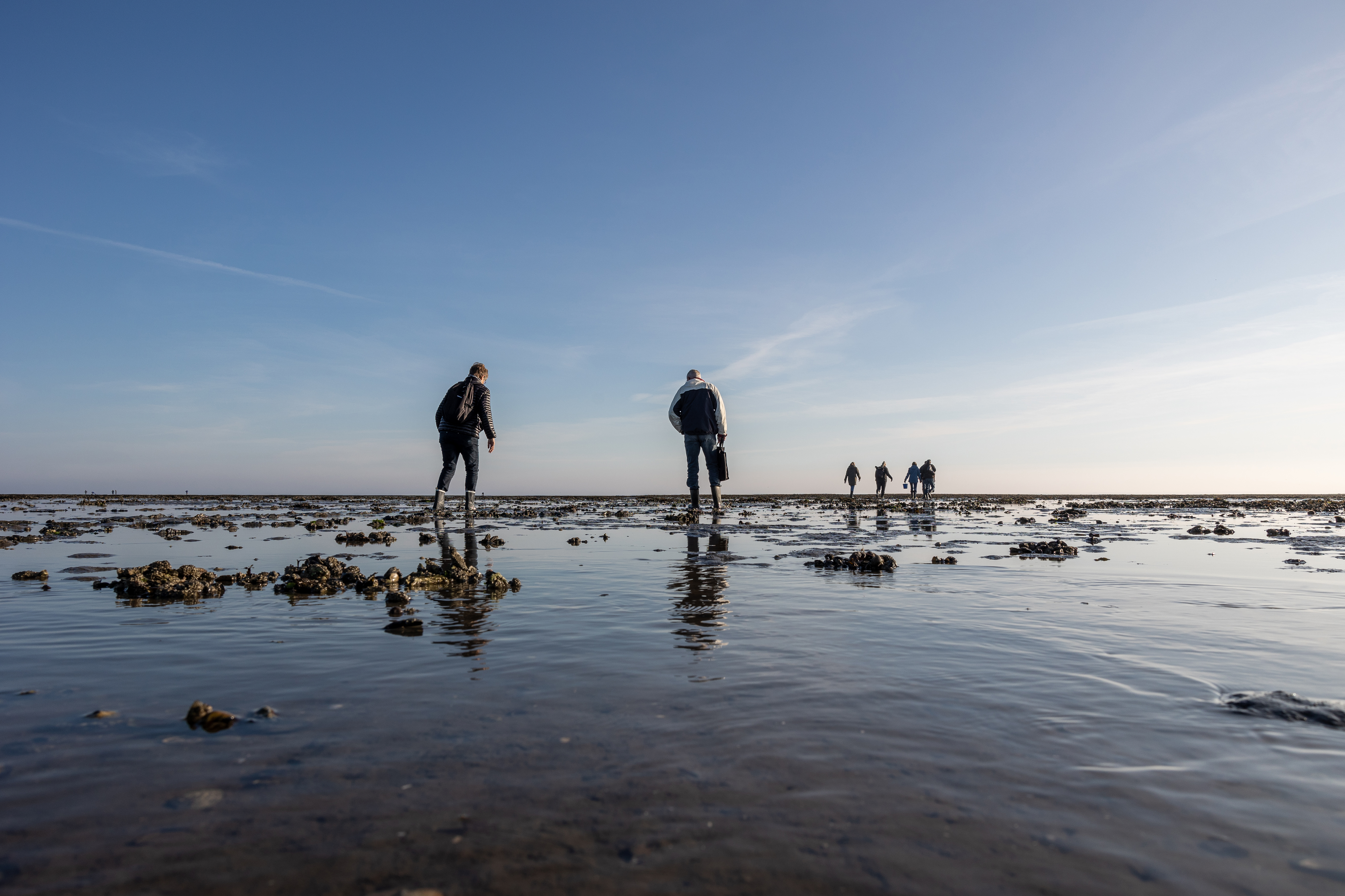 Oestersafari op Rømø ©Jacob Lisbygd