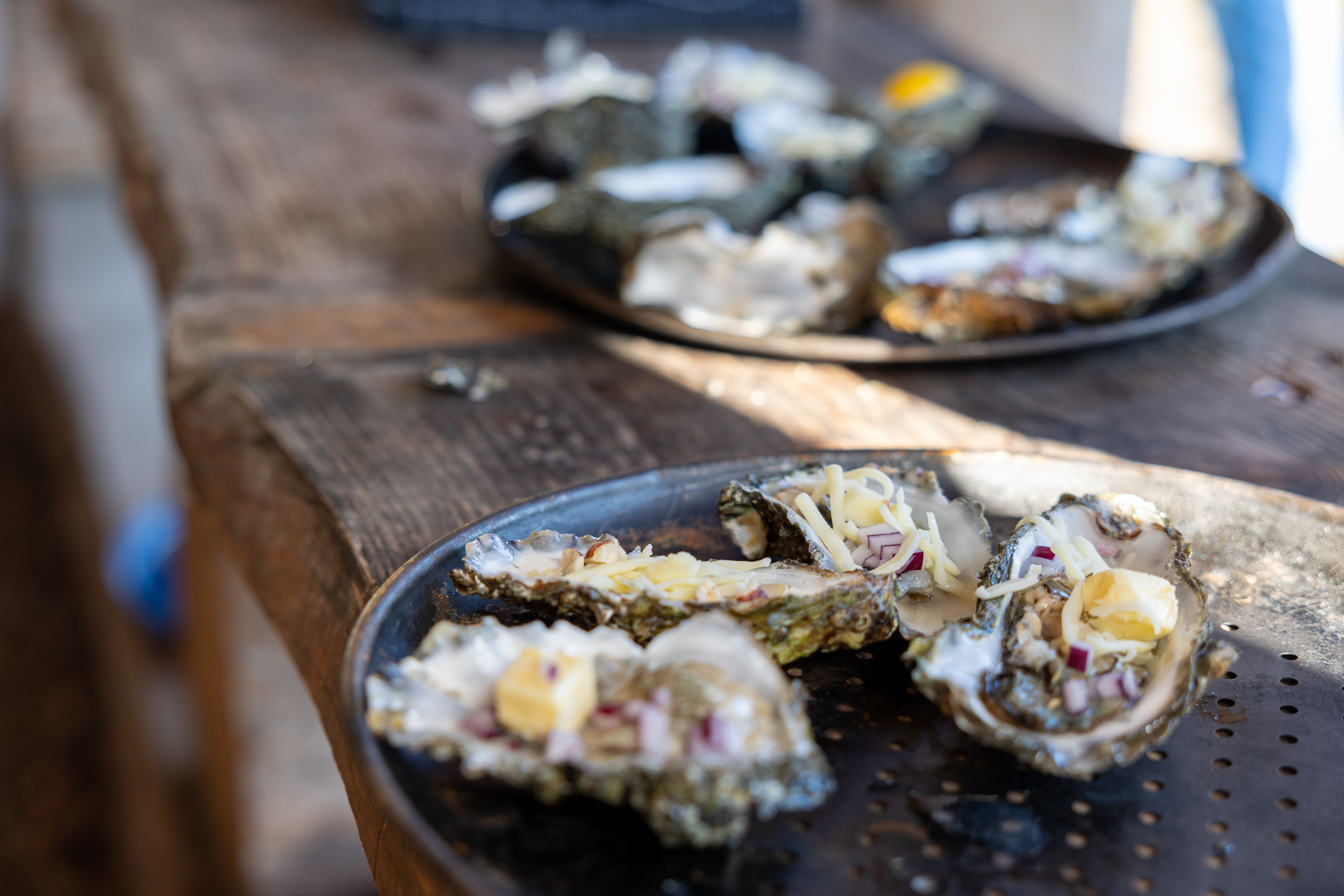 Heerlijke oesters vers gevangen op Rømø ©Jacob Lisbygd