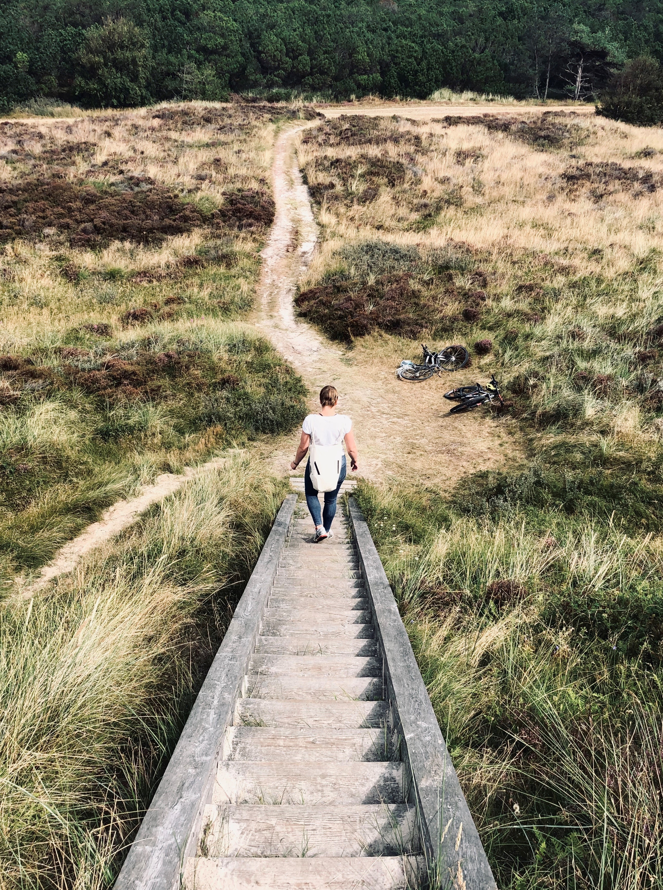 Het waddeneiland Rømø ©Sofie Bundgaard