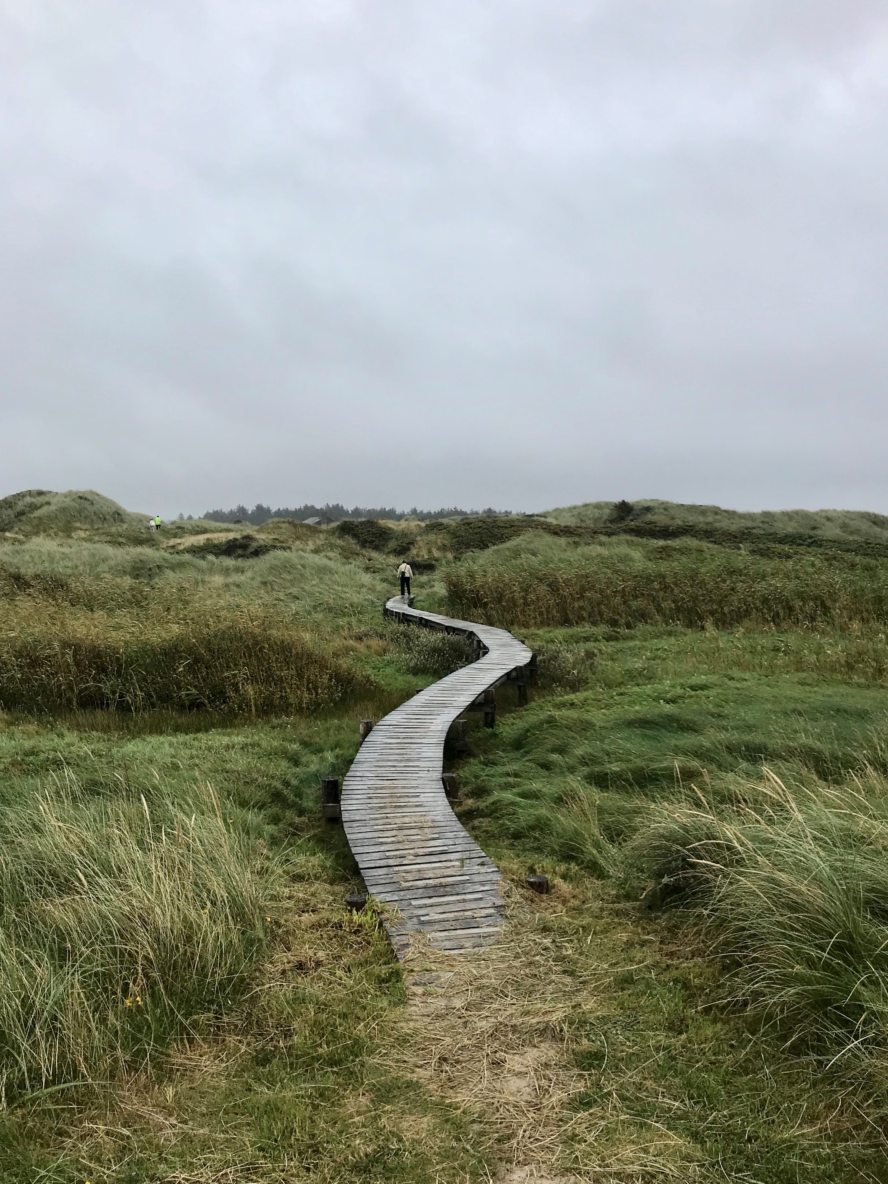 Saltum strand ©Karen Sejr