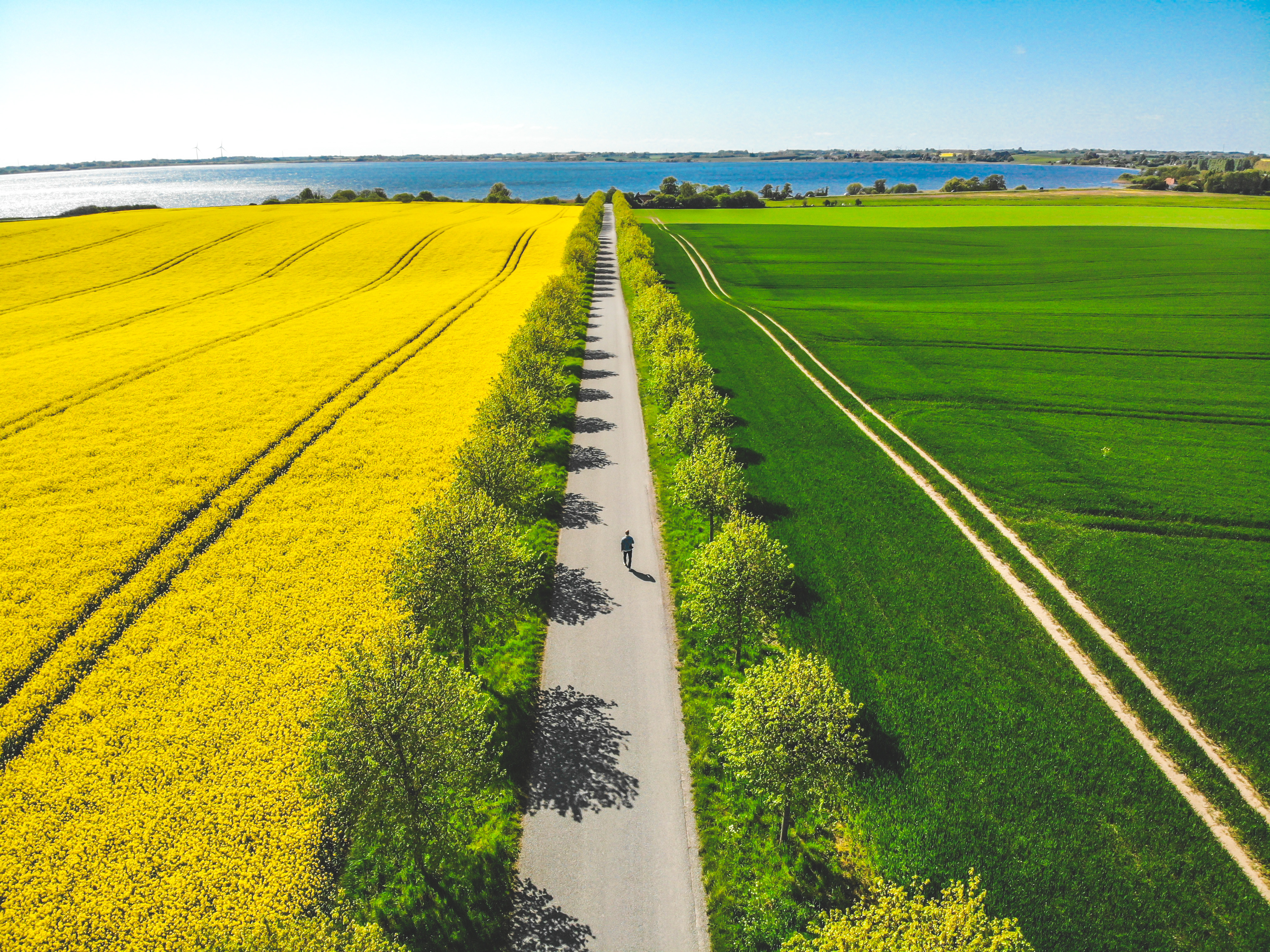 Het Tissø meer op Sjælland ©Christoffer Anias Sandager