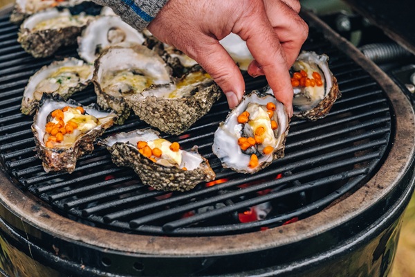 Oestersafari in de waddenzee ©Thomas Høyrup Christensen