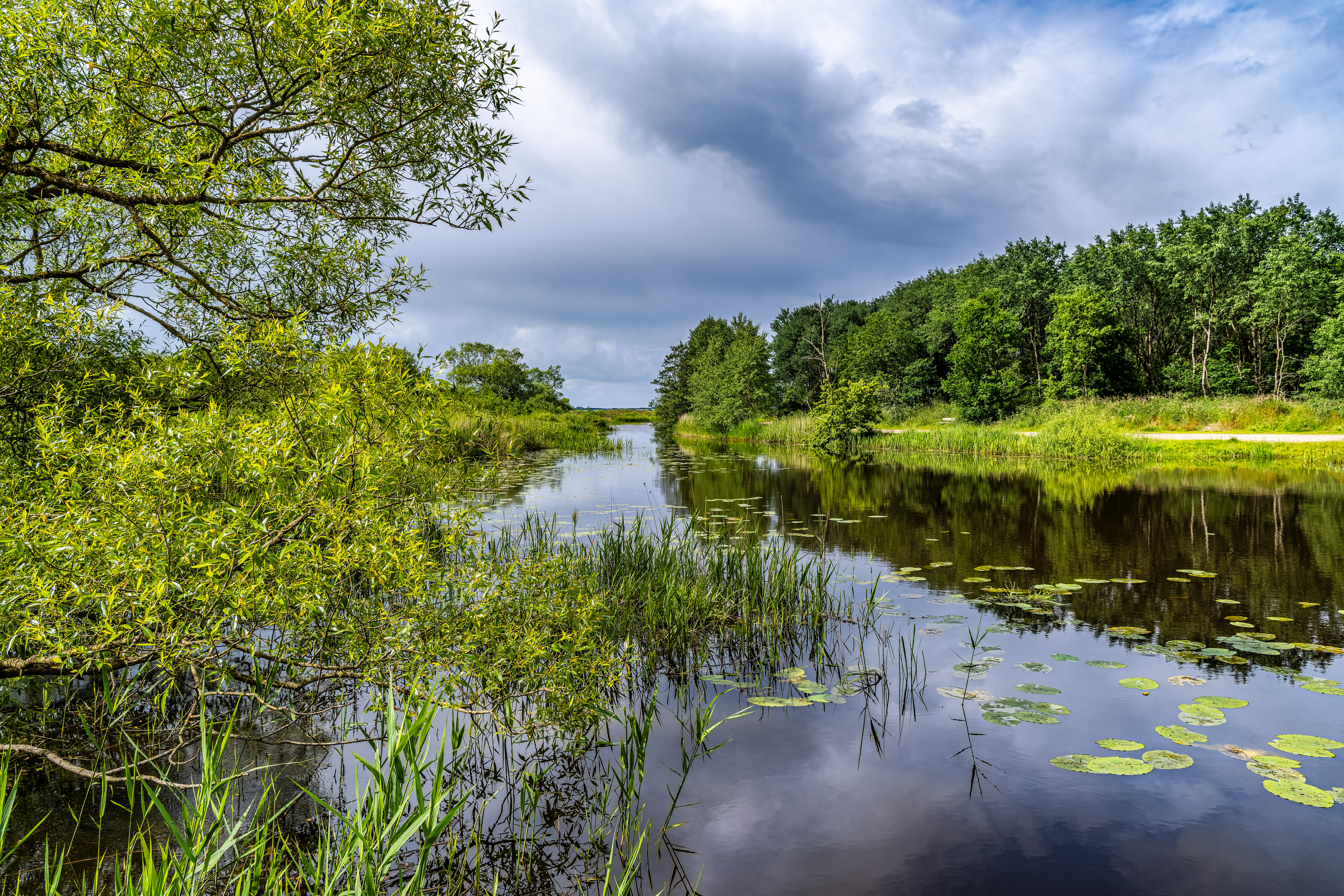 Skjern National Park