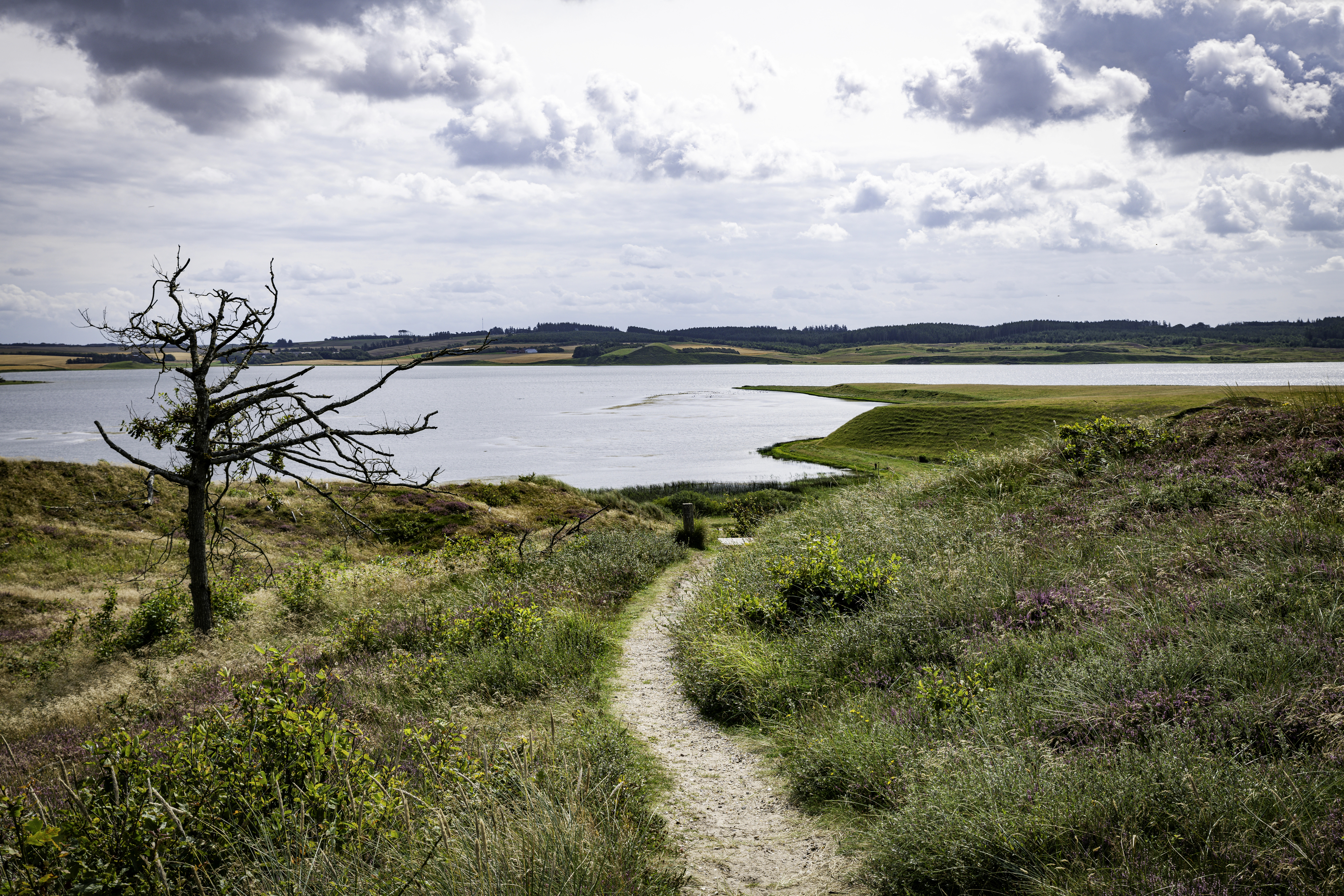 Nationaal Park Thy