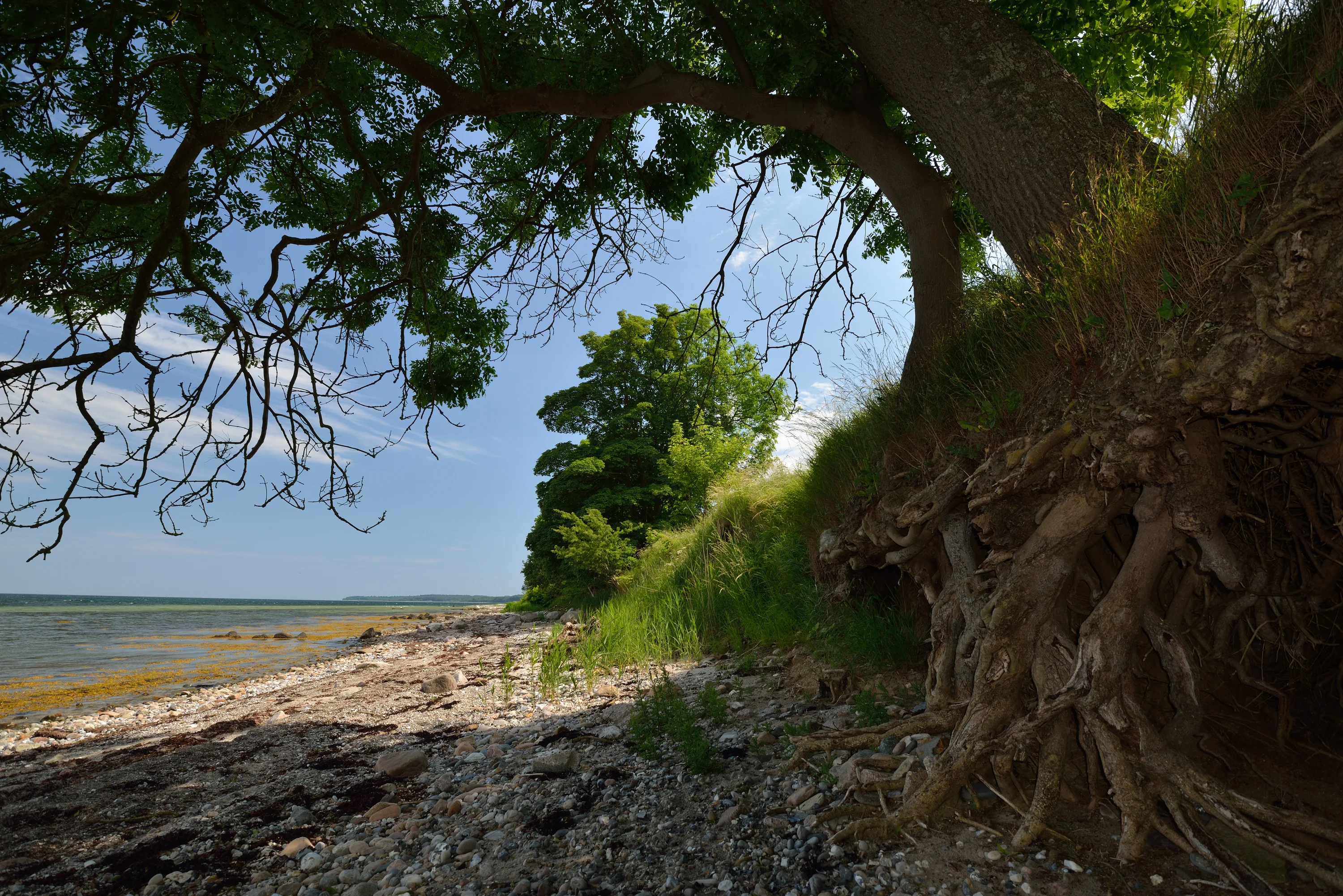 Oostzeekust op het eiland Als