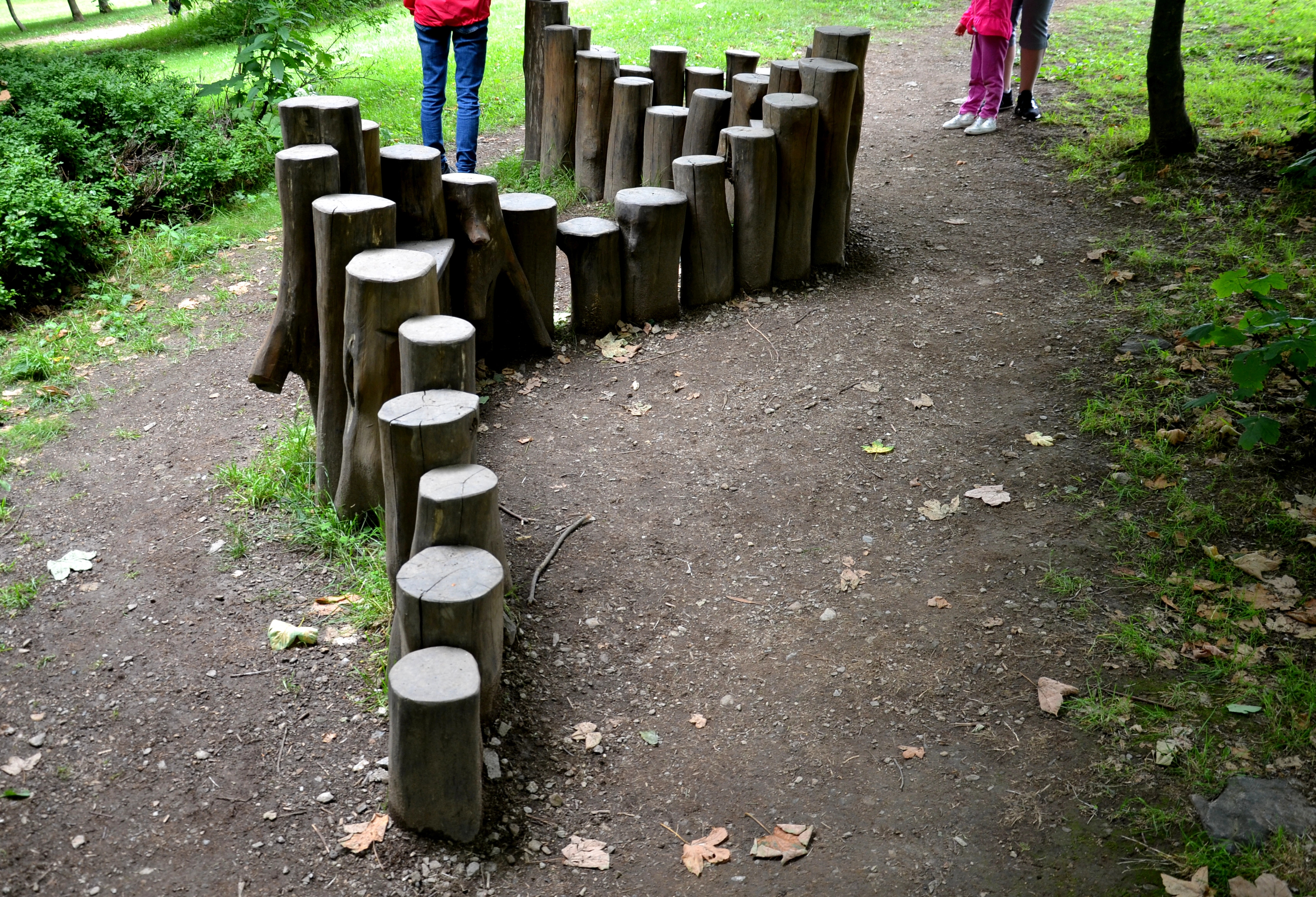 Speeltuin in het bos