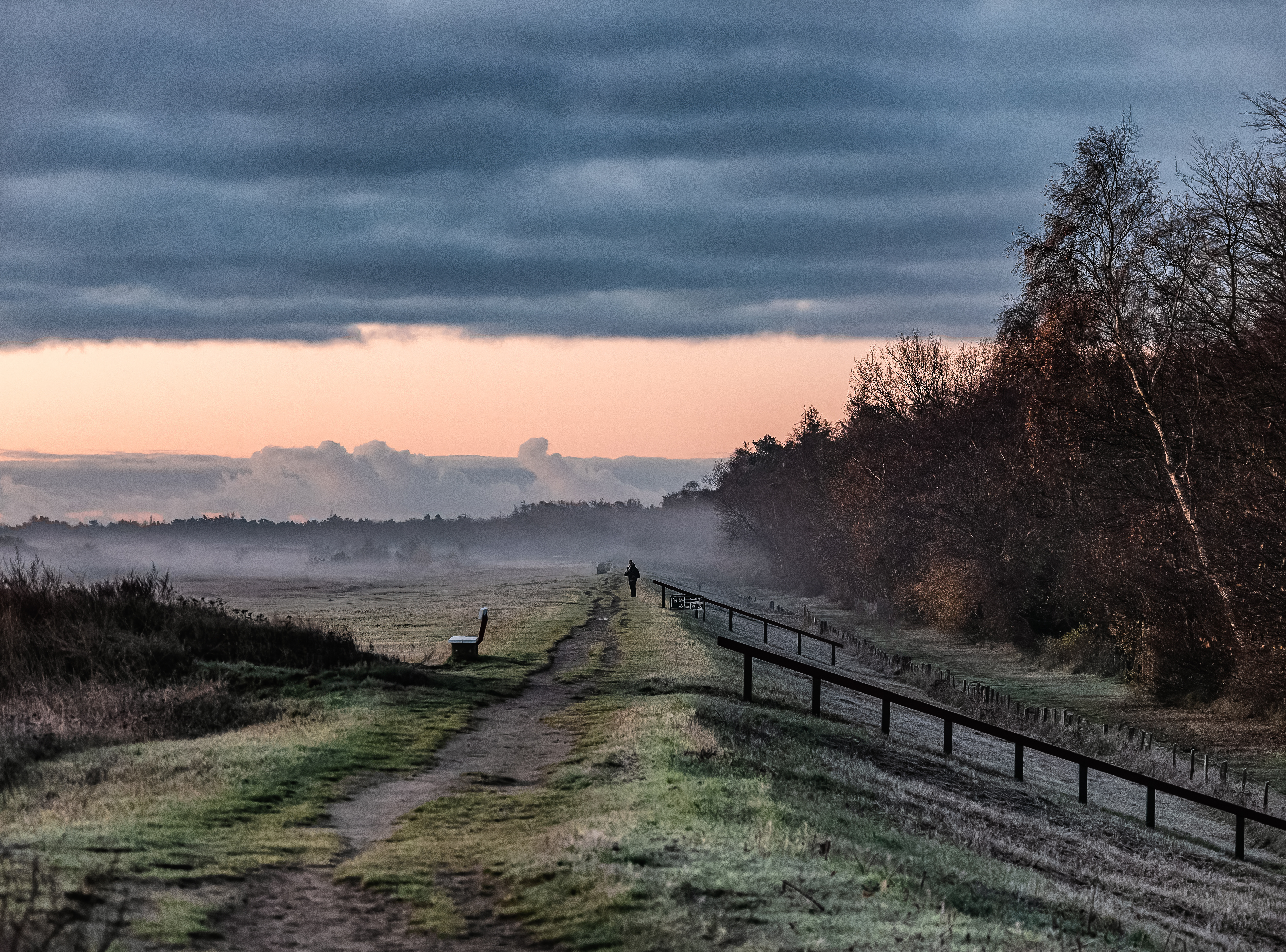 Serene Countryside Path at Dawn with Misty Atmosphere, Marielyst, Denmark