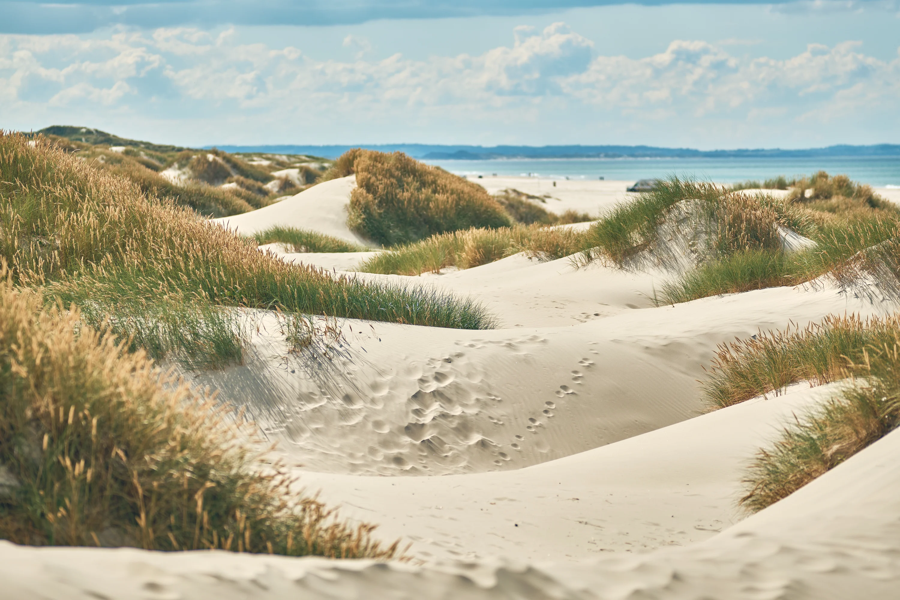 De kust bij Jammerbugten