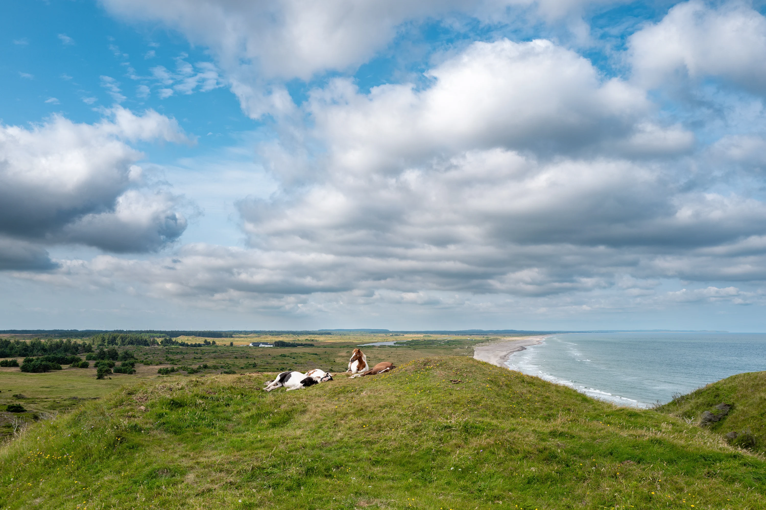 De kust bij Slettestrand