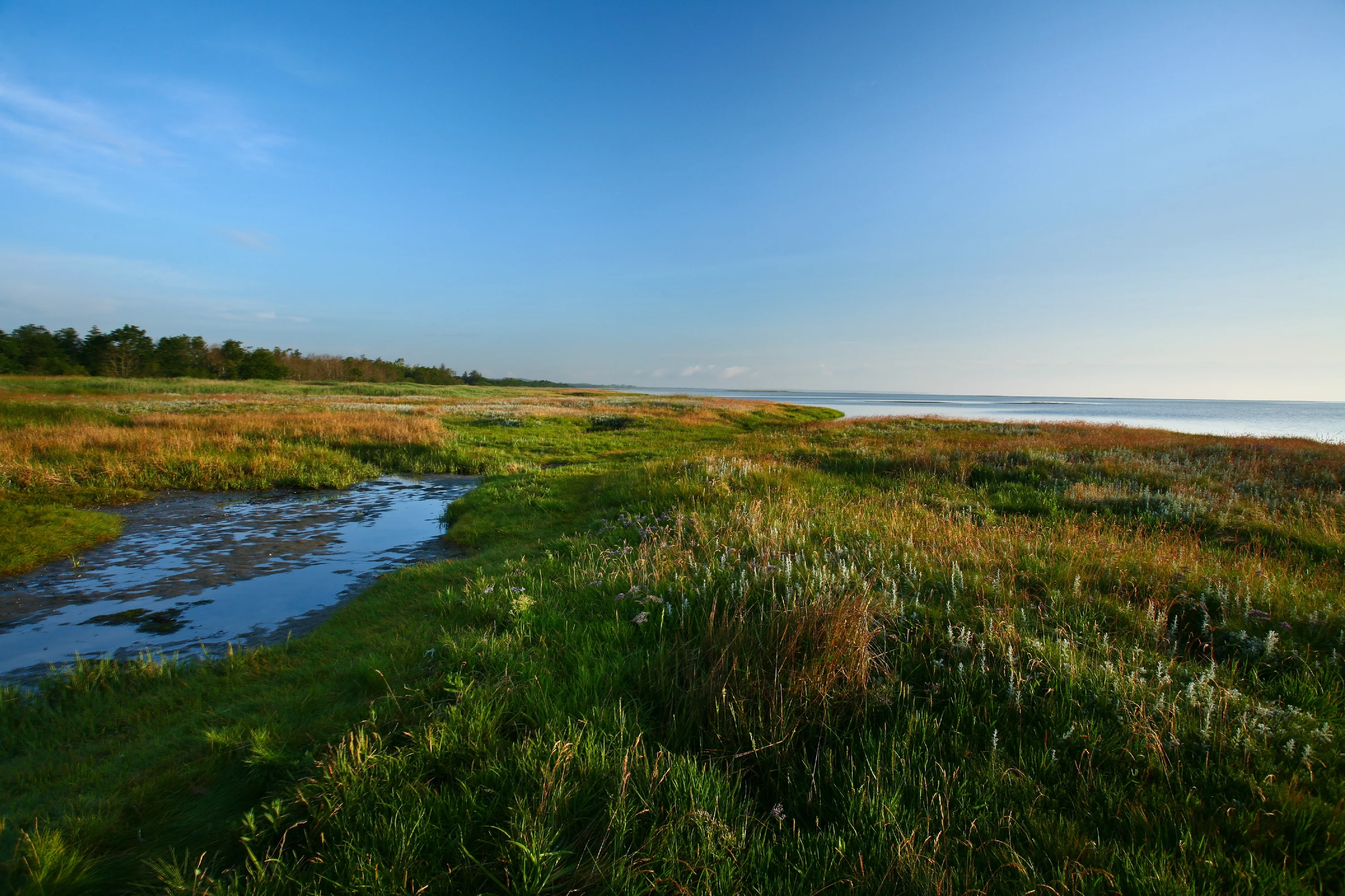 Vakantiehuis bij Begtrup Vig – Vakantie dicht bij strand en natuur
