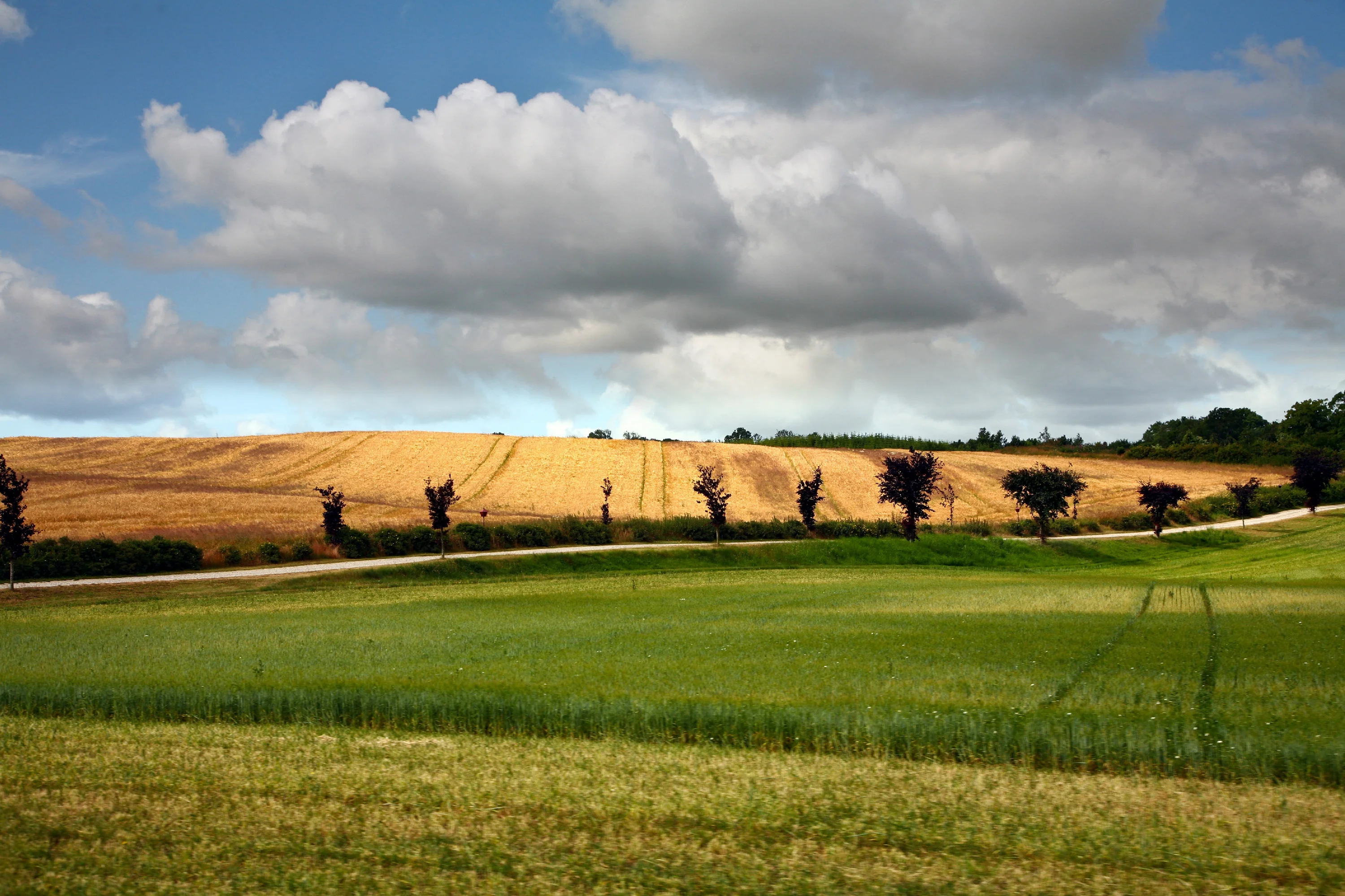 Fuglslev op Djursland – Een gids voor de omgeving