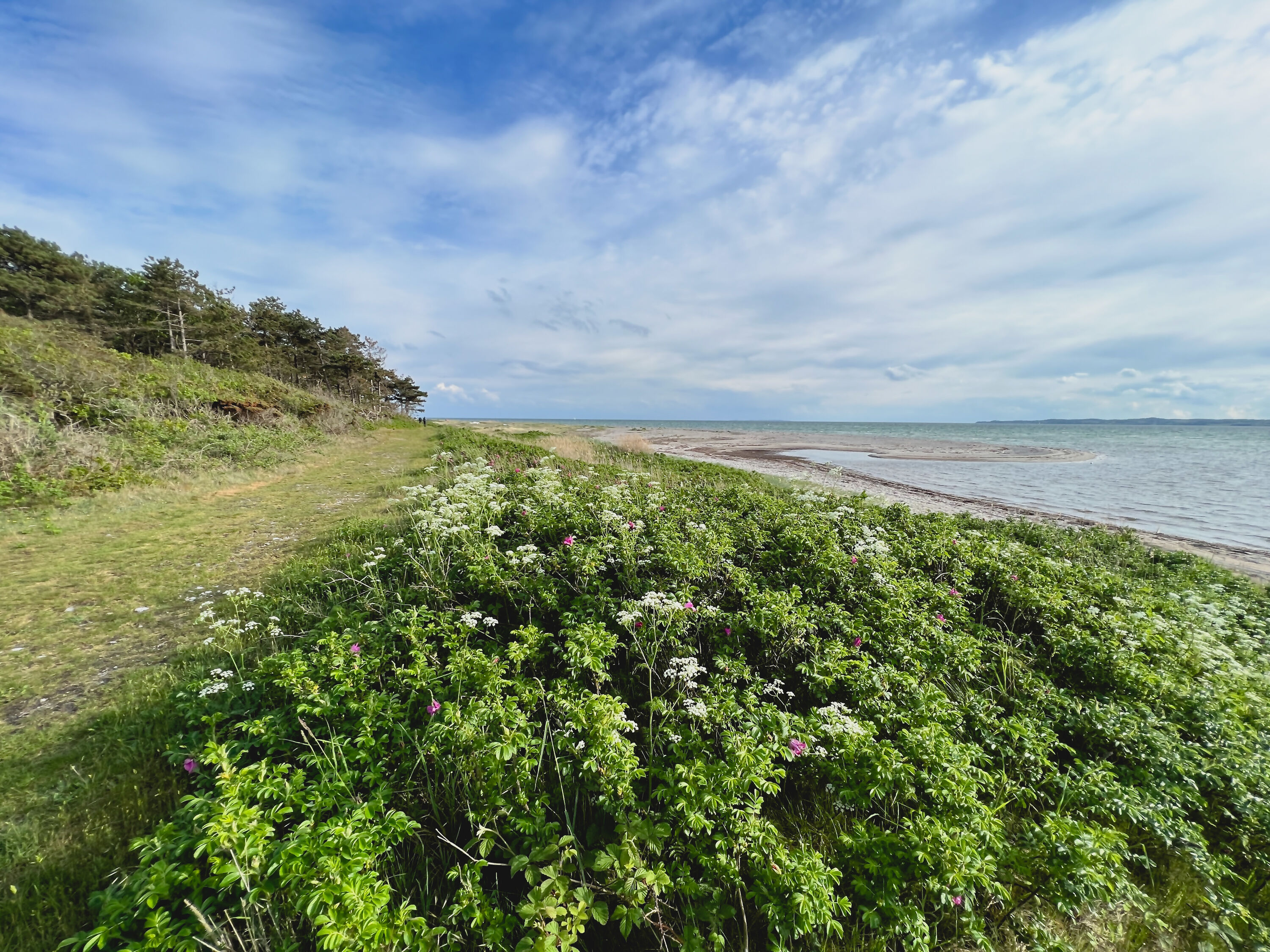 De prachtige natuur aan de kust bij Ebeltoft