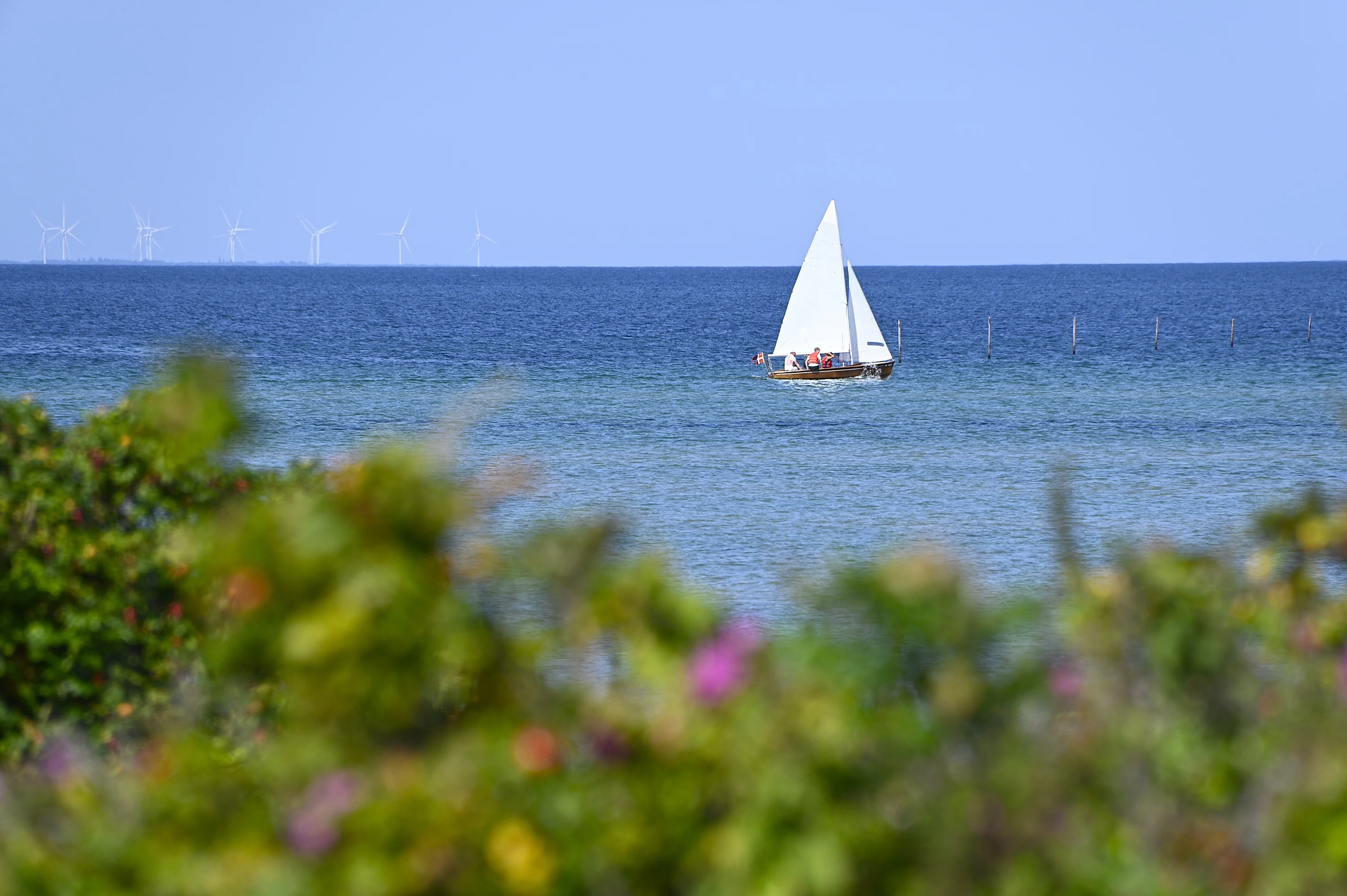 Fjellerup Strand – Vakantie, natuur en belevenissen aan zee