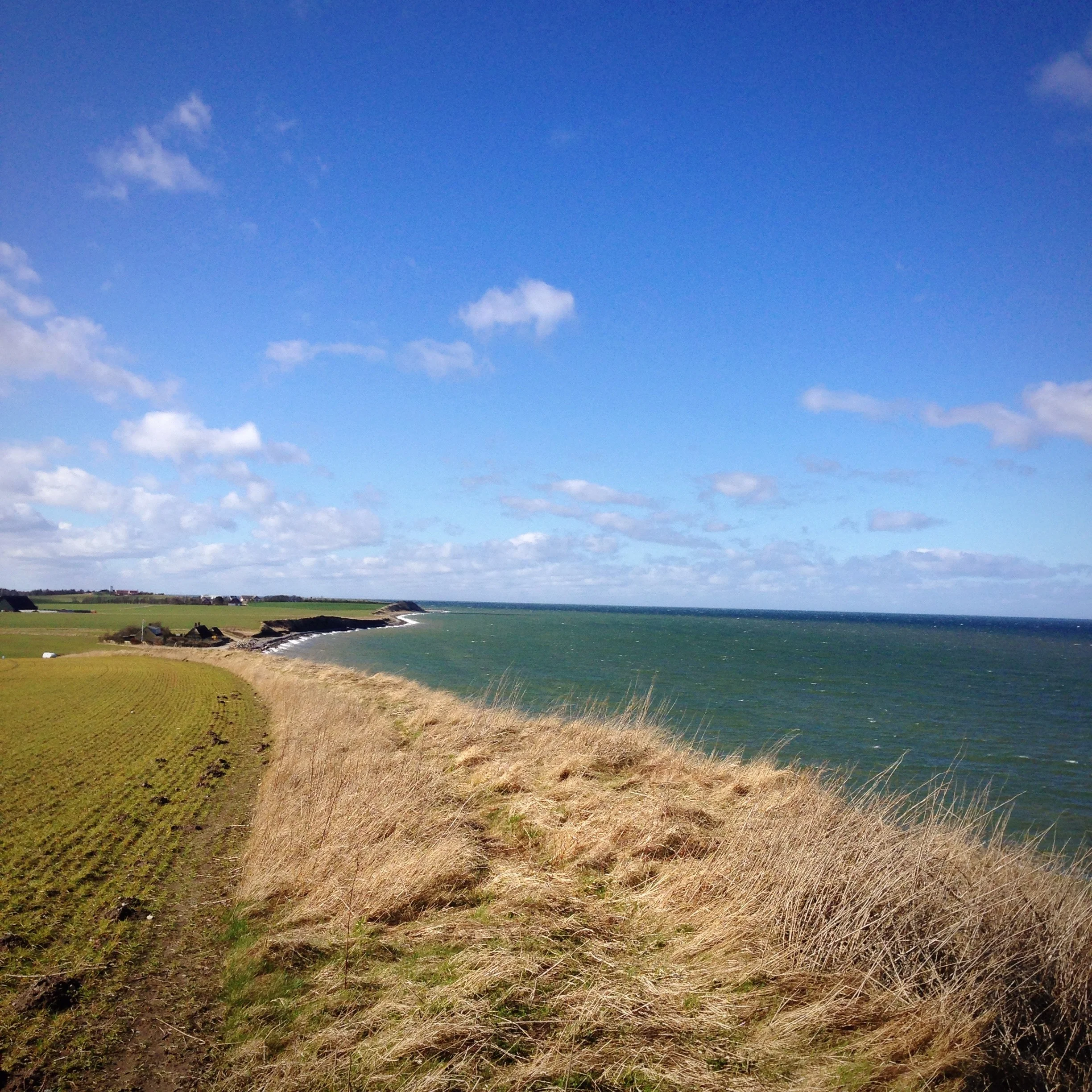 Gjerrild Baai, Strand en Klif – Ontdek natuur, kustleven en fossielen op Djursland