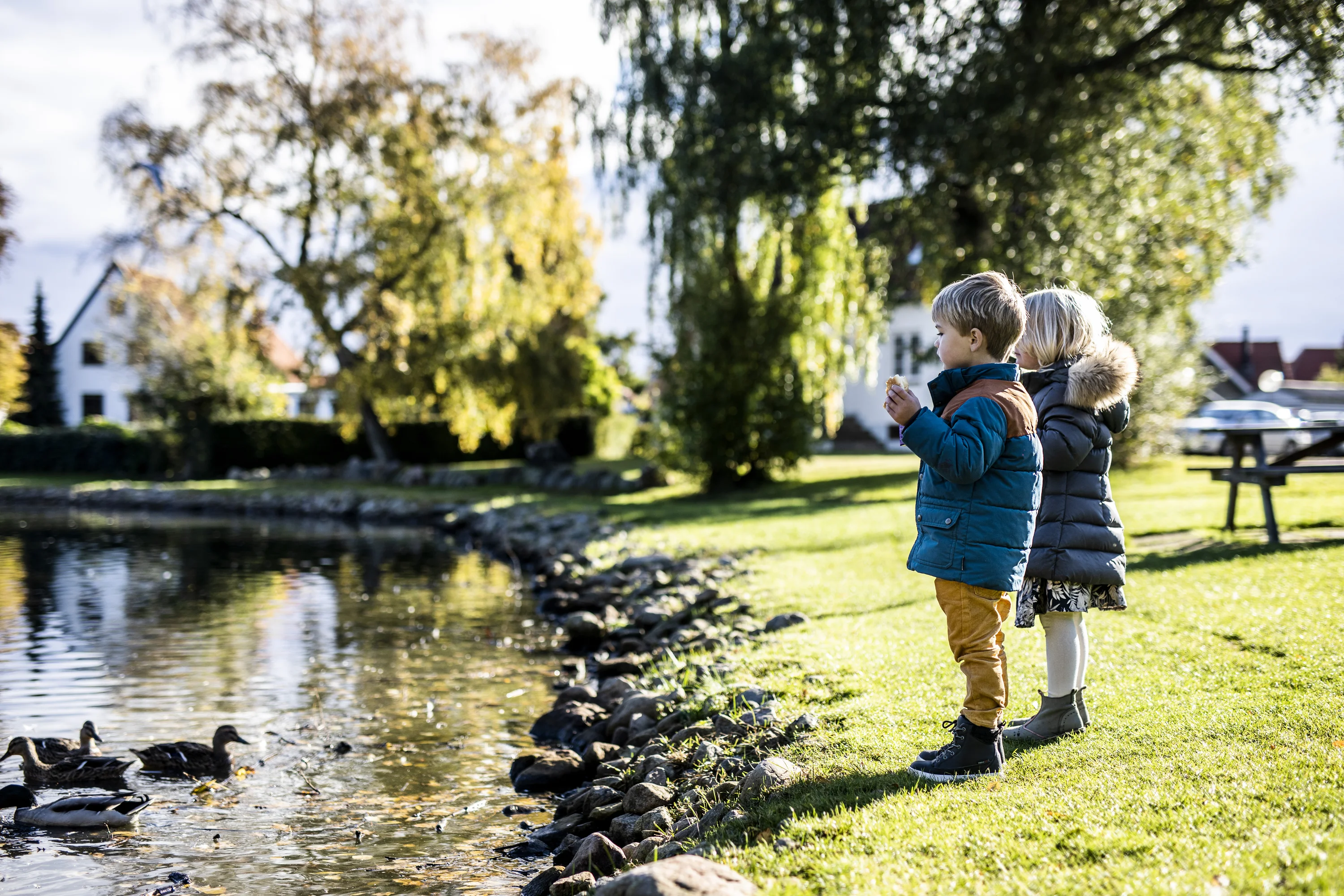 Juelsminde Park en Natuur – Ontdek de groene kant van de kust