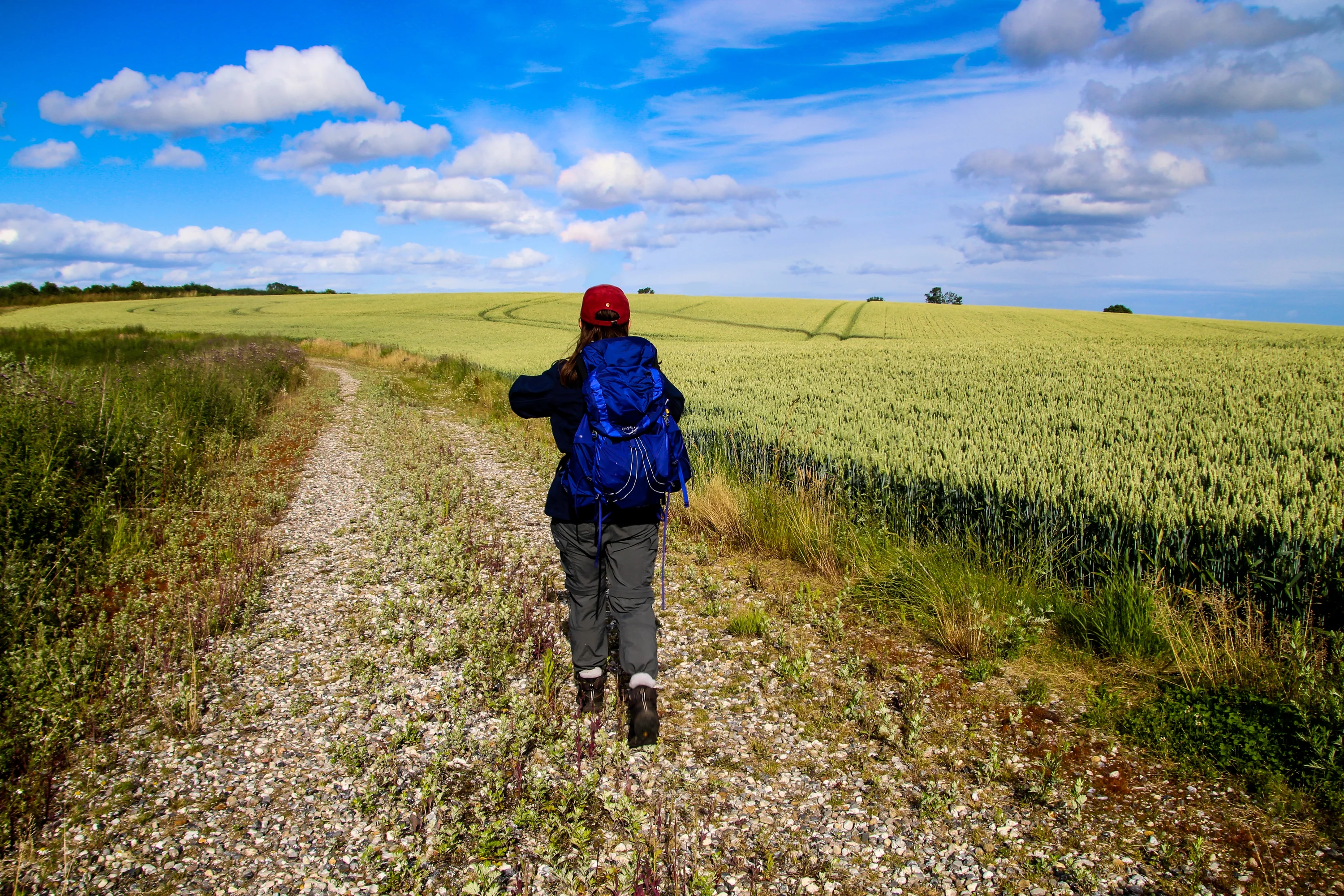 Vakantie en uitstapjes rond Odder: Ontdek het beste van Oost-Jutland
