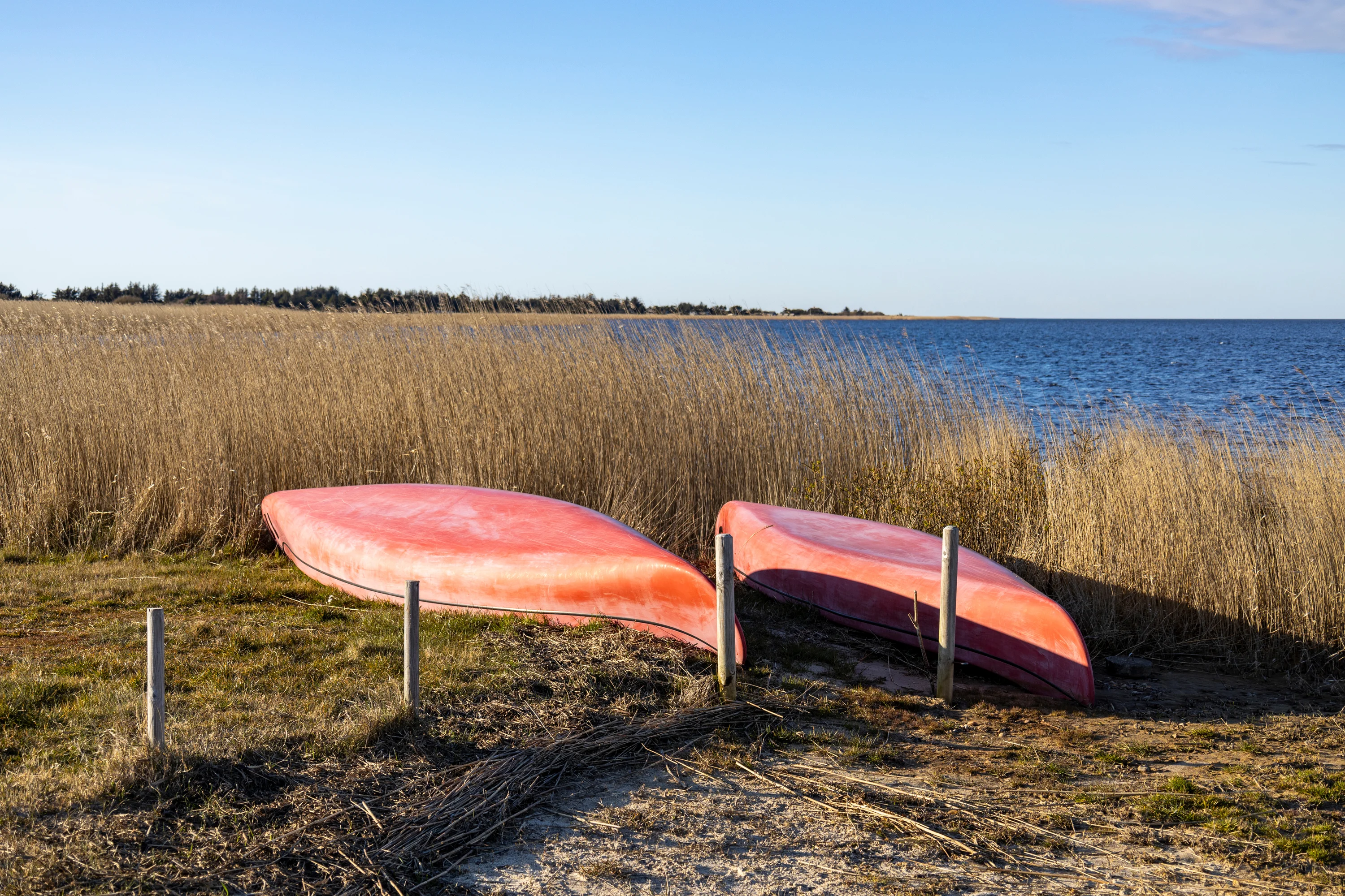 Bjerregård ligt tussen de Noordzee en Ringkøbing Fjord