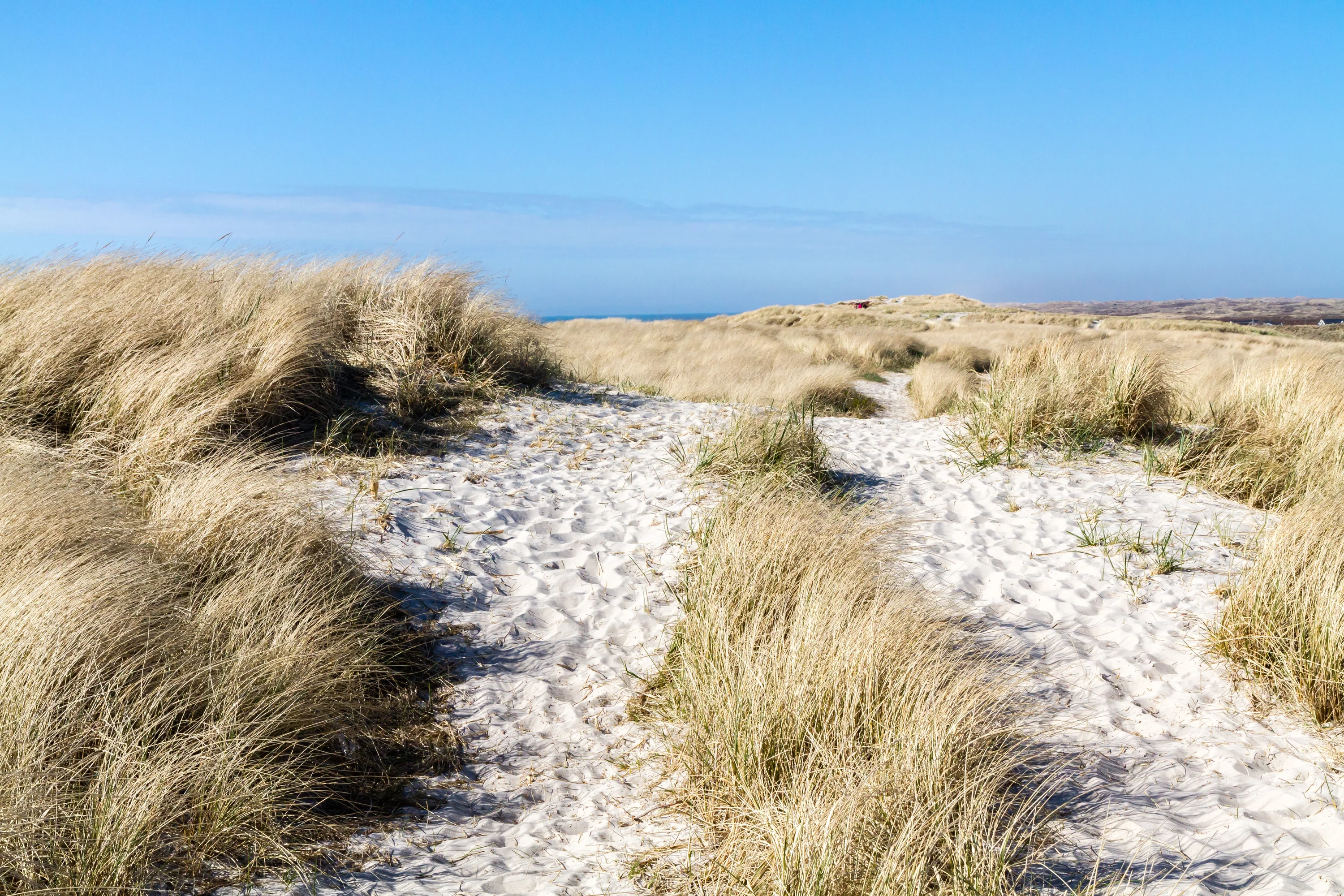 Het duinlandschap bij Bjerregård