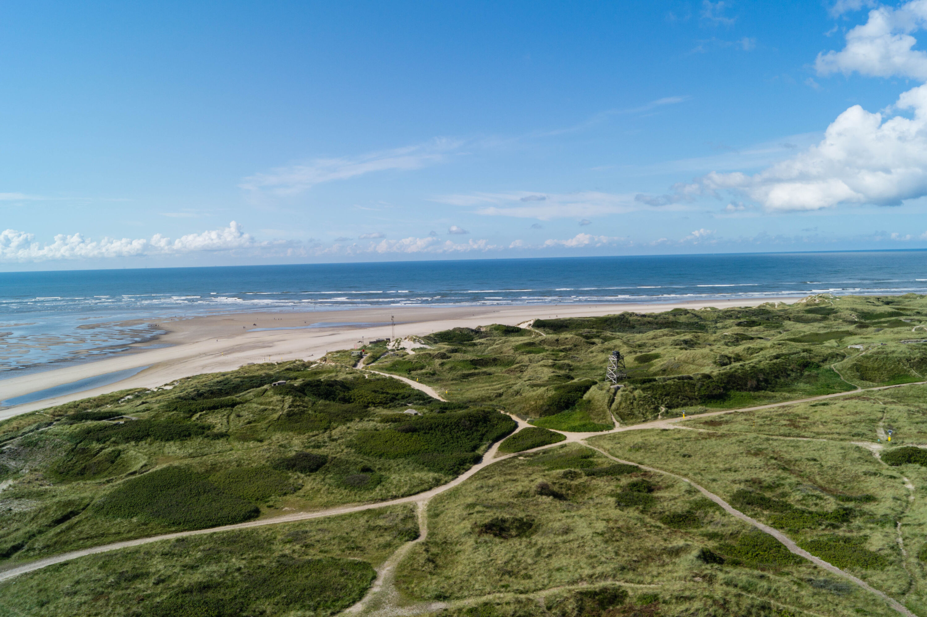 Het duingebied bij Blåvand