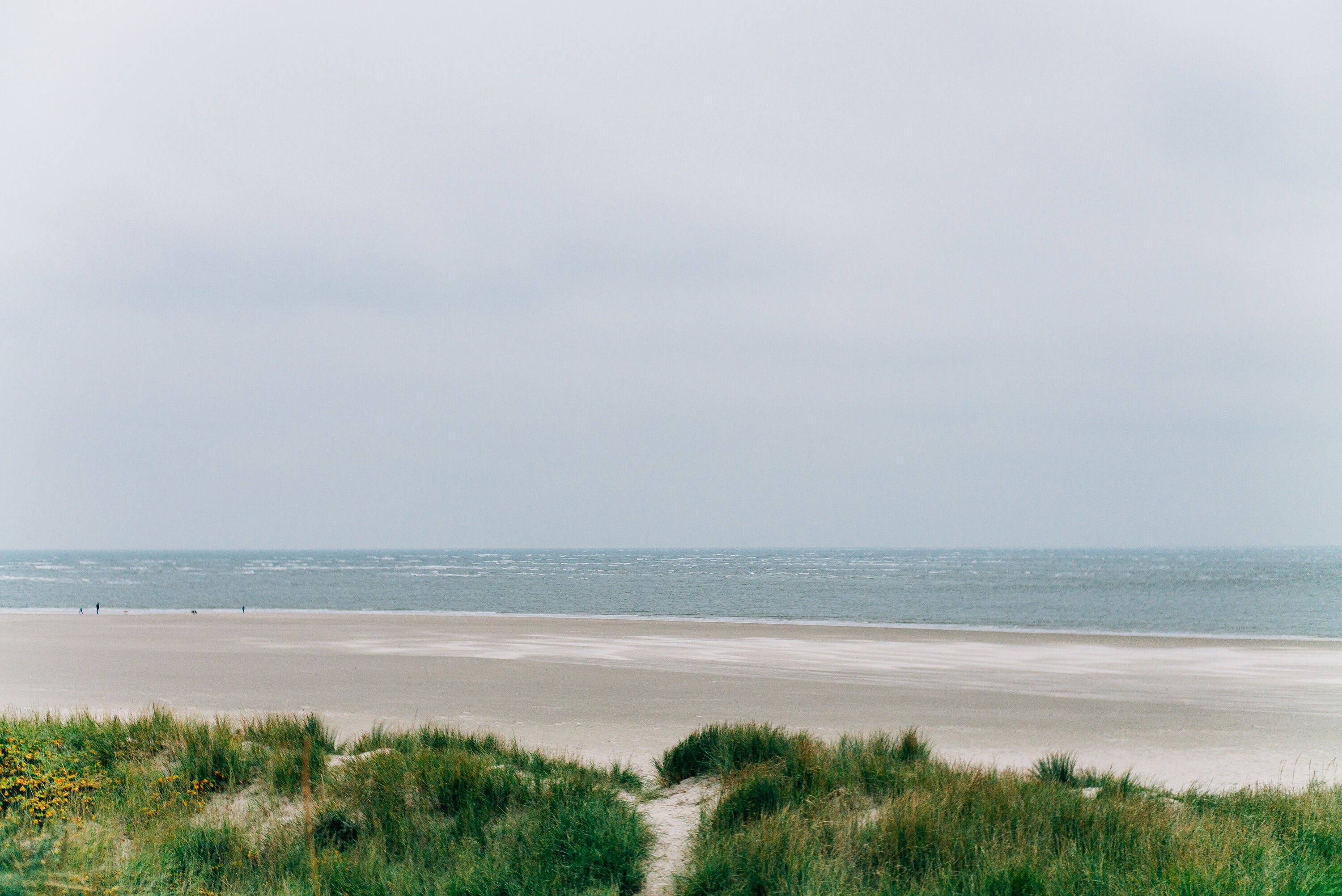 Genieten van de Noordzee vanuit de duinen