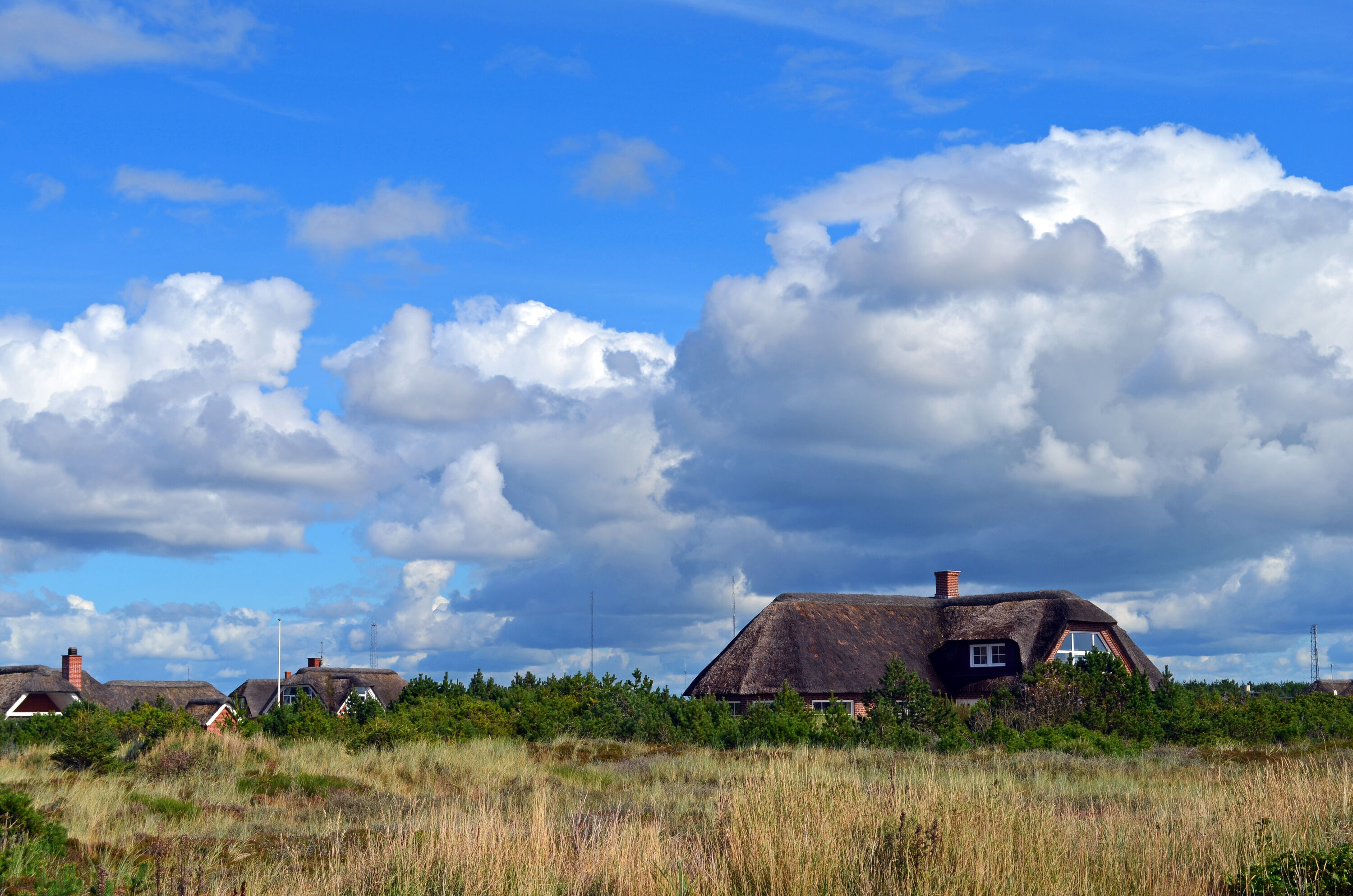Traditionele, rietgedekte vakantiehuizen in Blåvand
