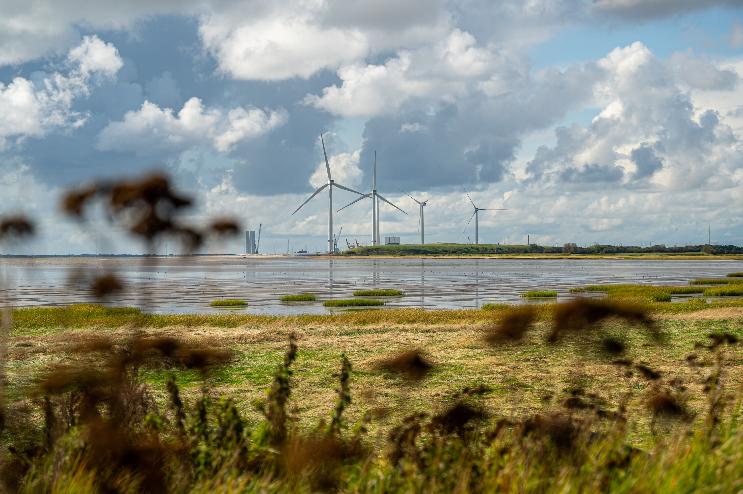 De Waddenzee en de haven van Esbjerg