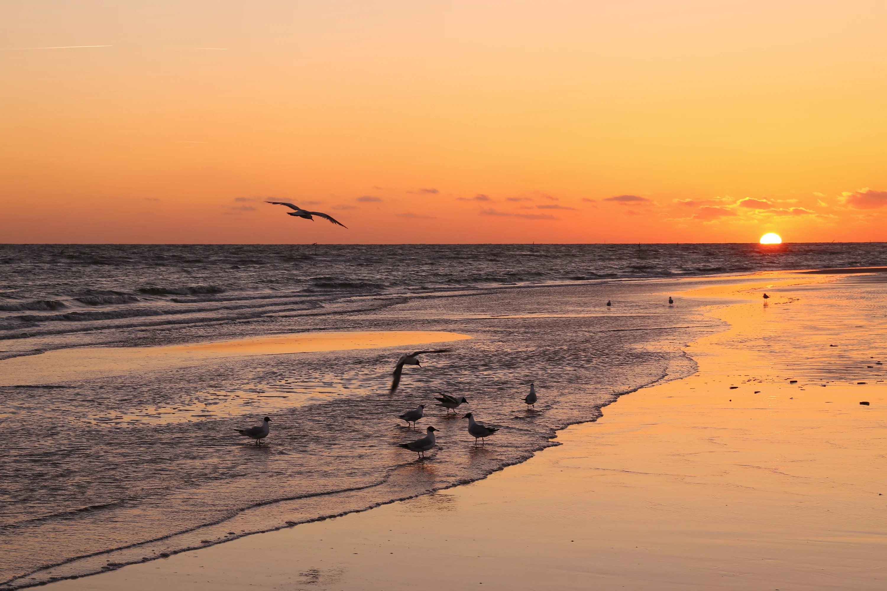 Het strand op Fanø