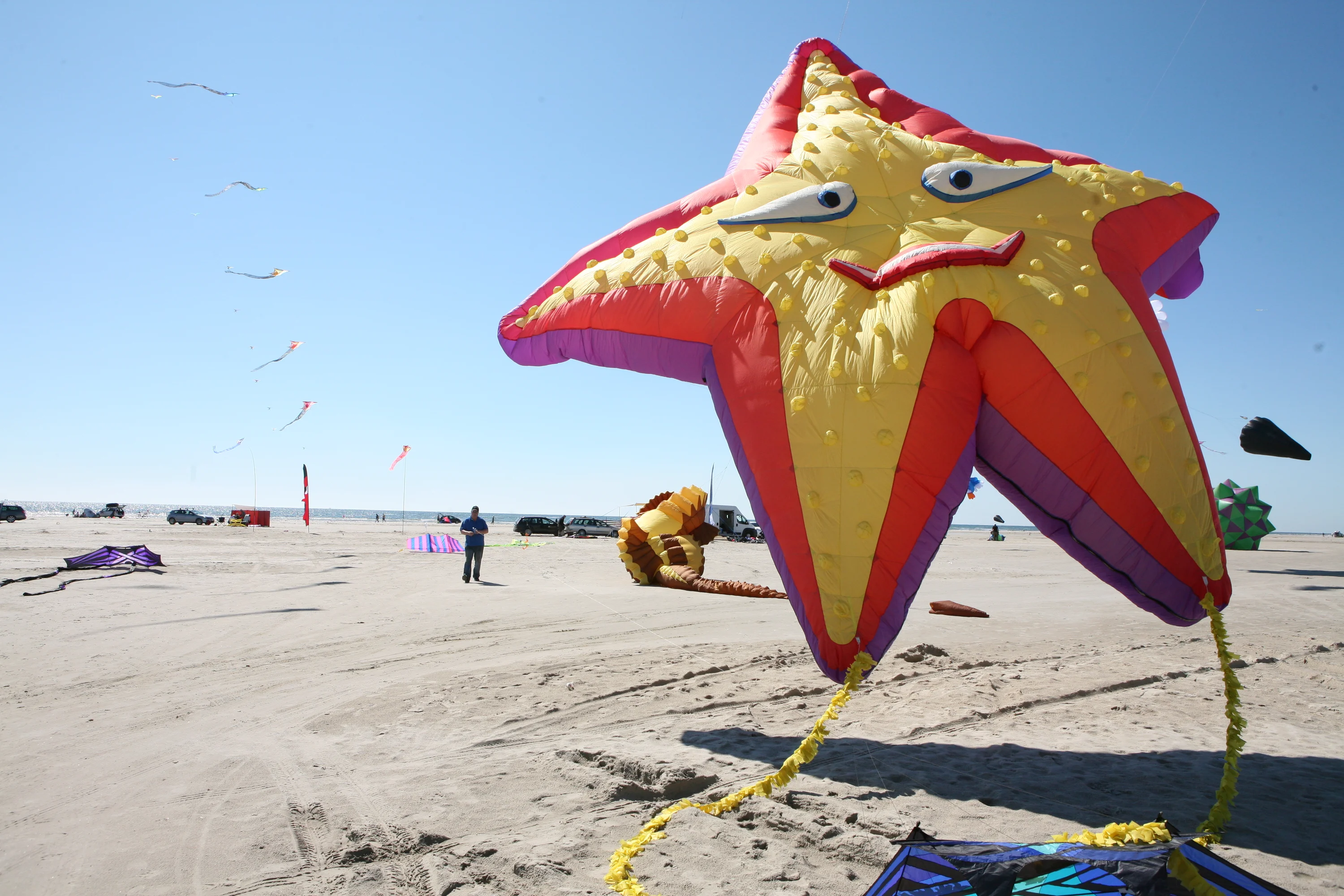 Fano Kite Festival