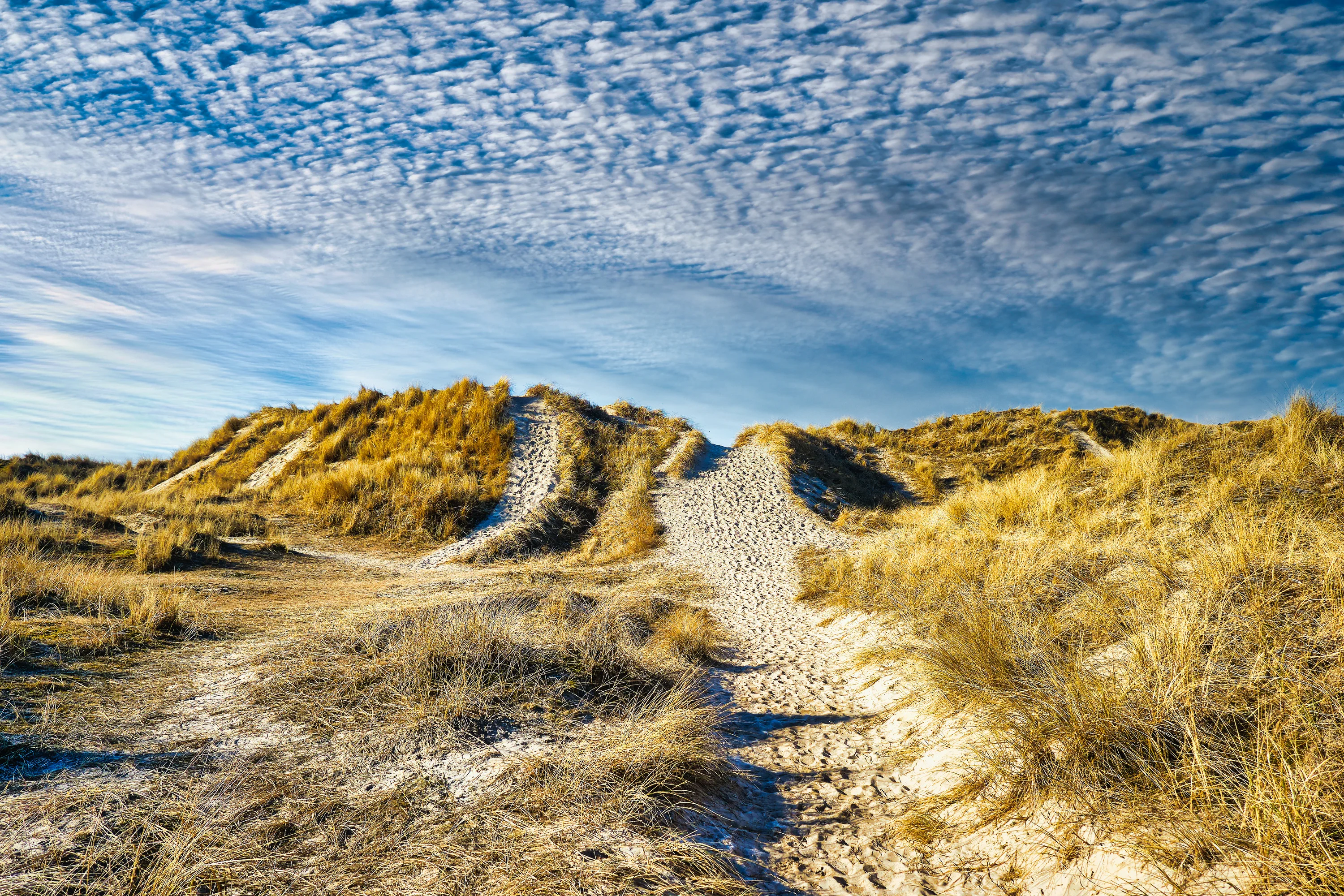 De duinen bij Rindby